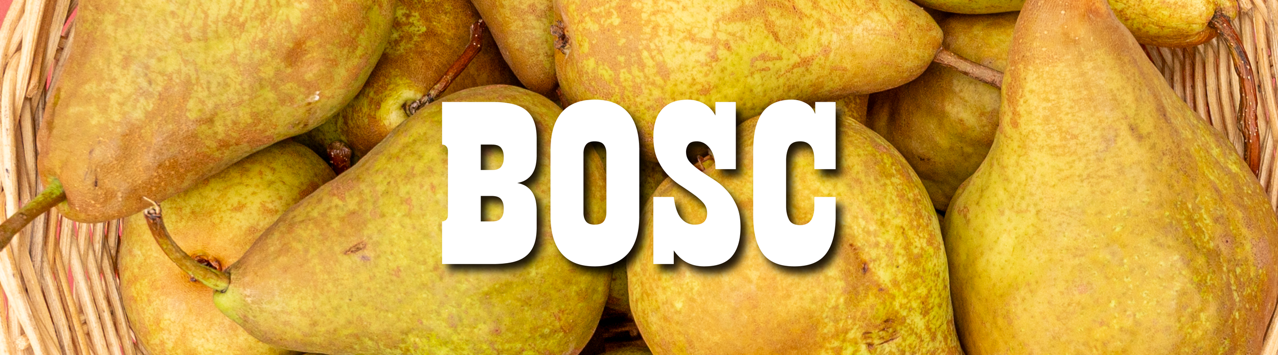 bosc-01.png