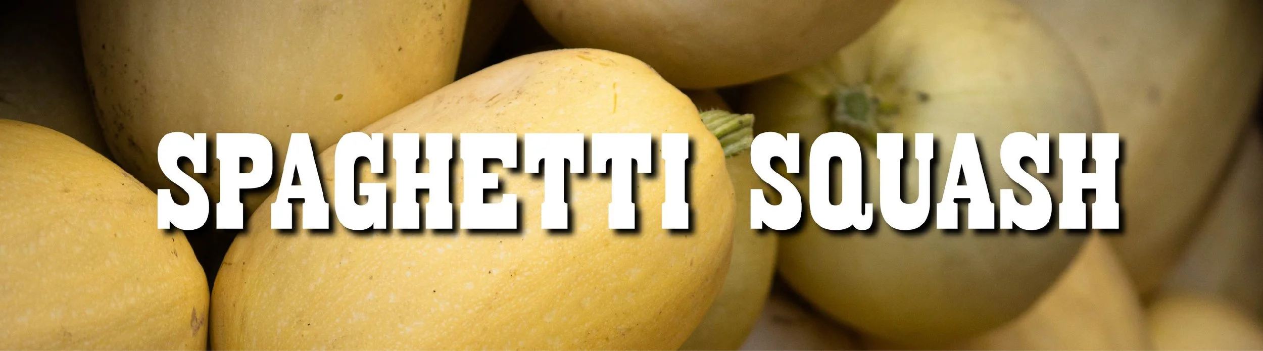 SPAGHETTI SQUASH-01.jpg