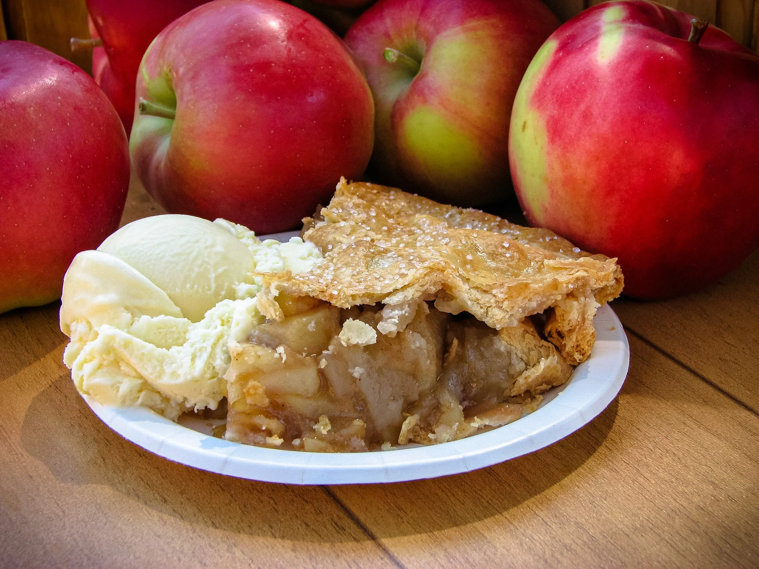 Slice of Deep Dish Apple Pie made at Davison Orchards Farmhouse Bakery using farm-grown apples in Vernon BC, Okanagan Valley