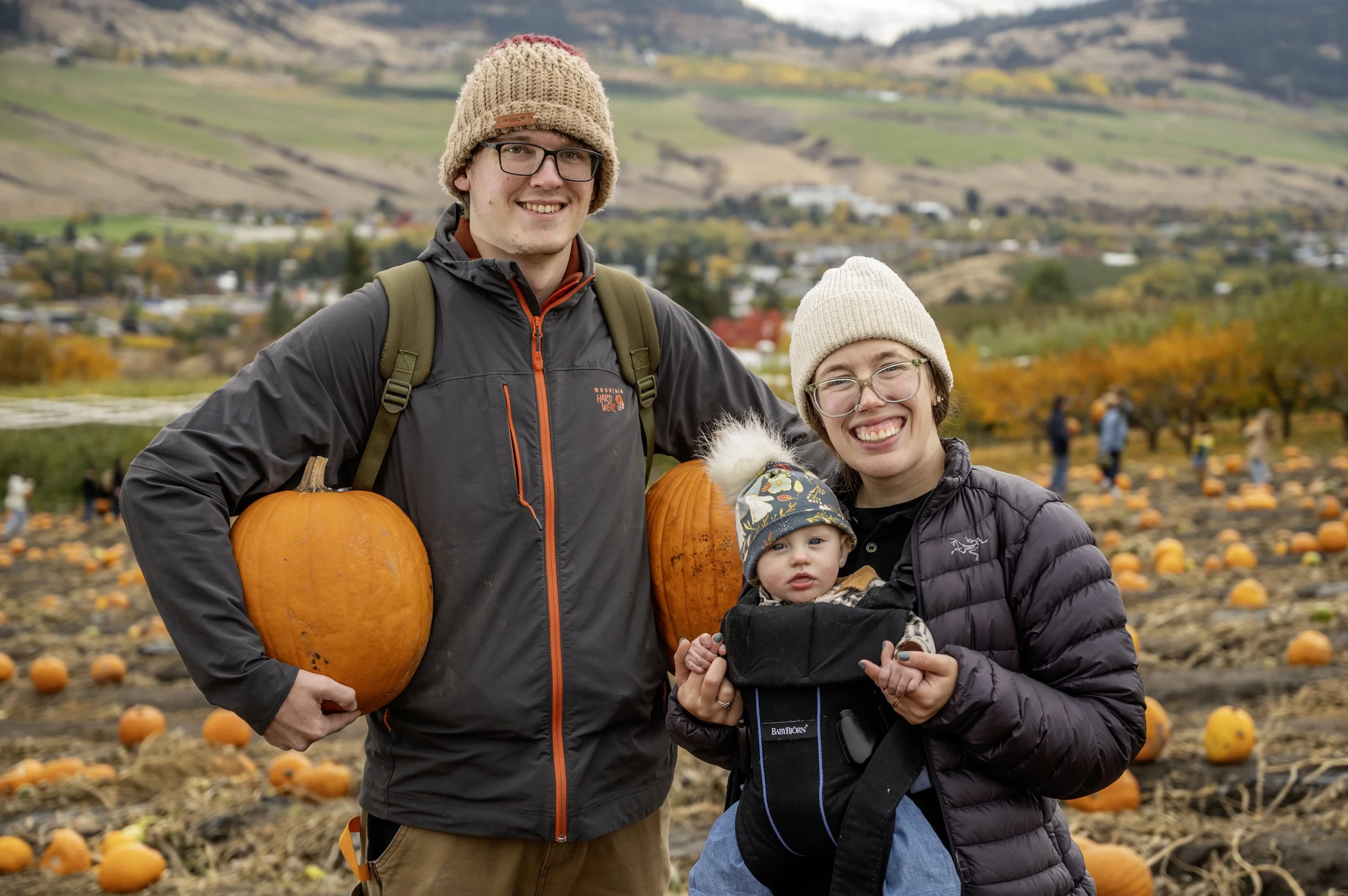 Young family picking pumpkins at the Davison's patch in Vernon, BC