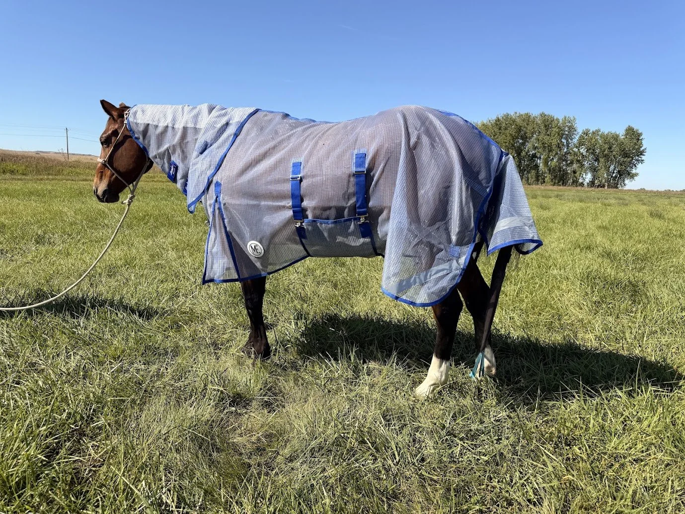 ME Fly Sheet