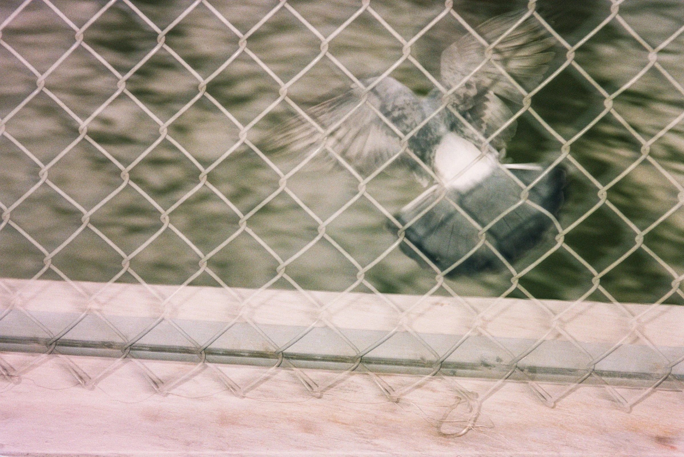 Film Journal-189.jpg