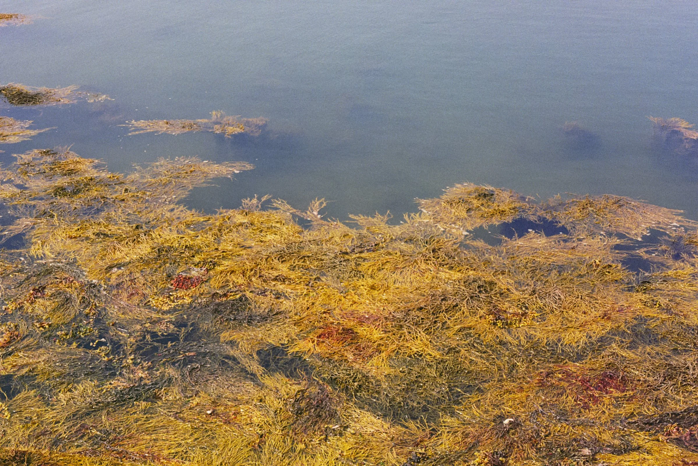 Film Journal-153.jpg