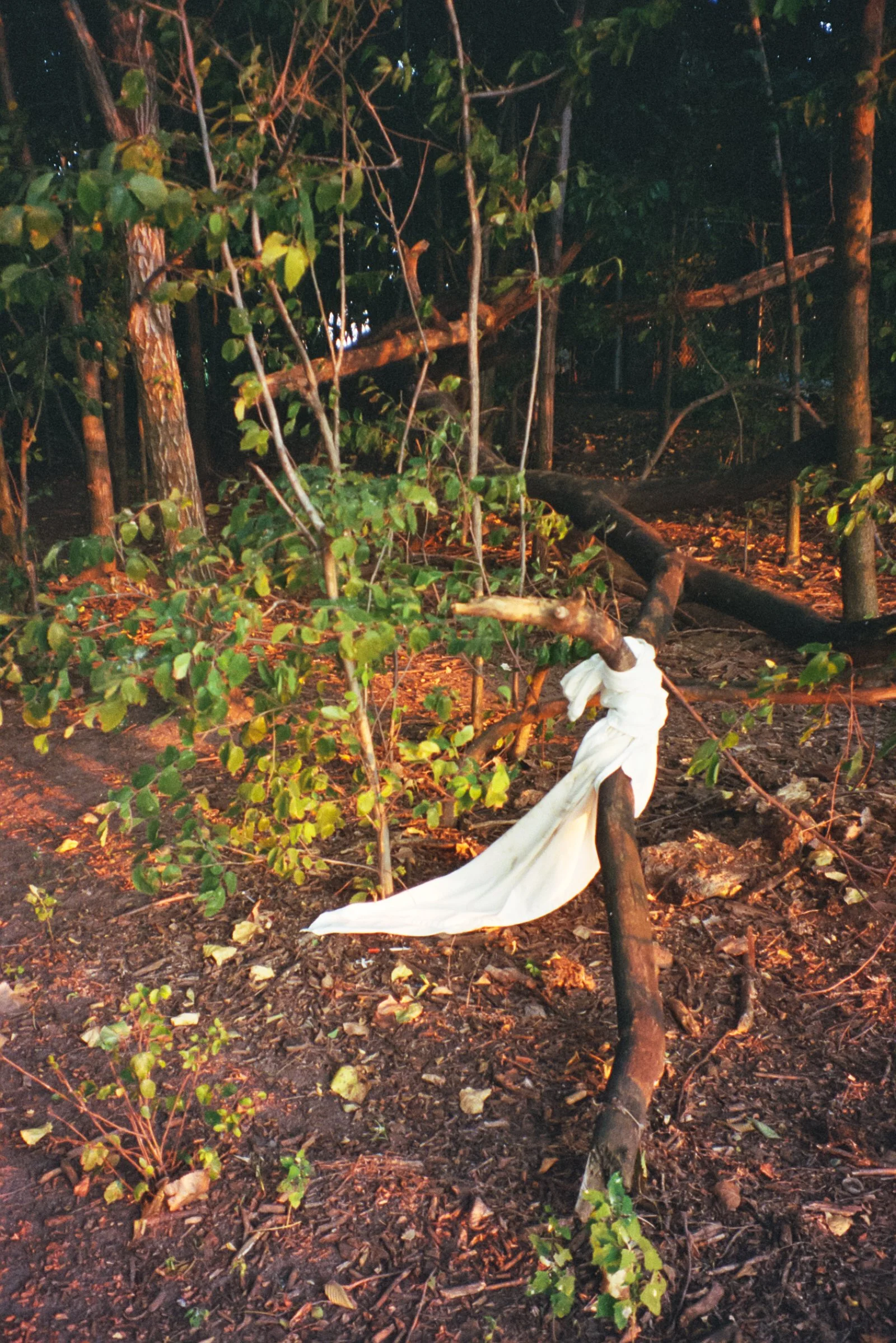 Film Journal-215.jpg