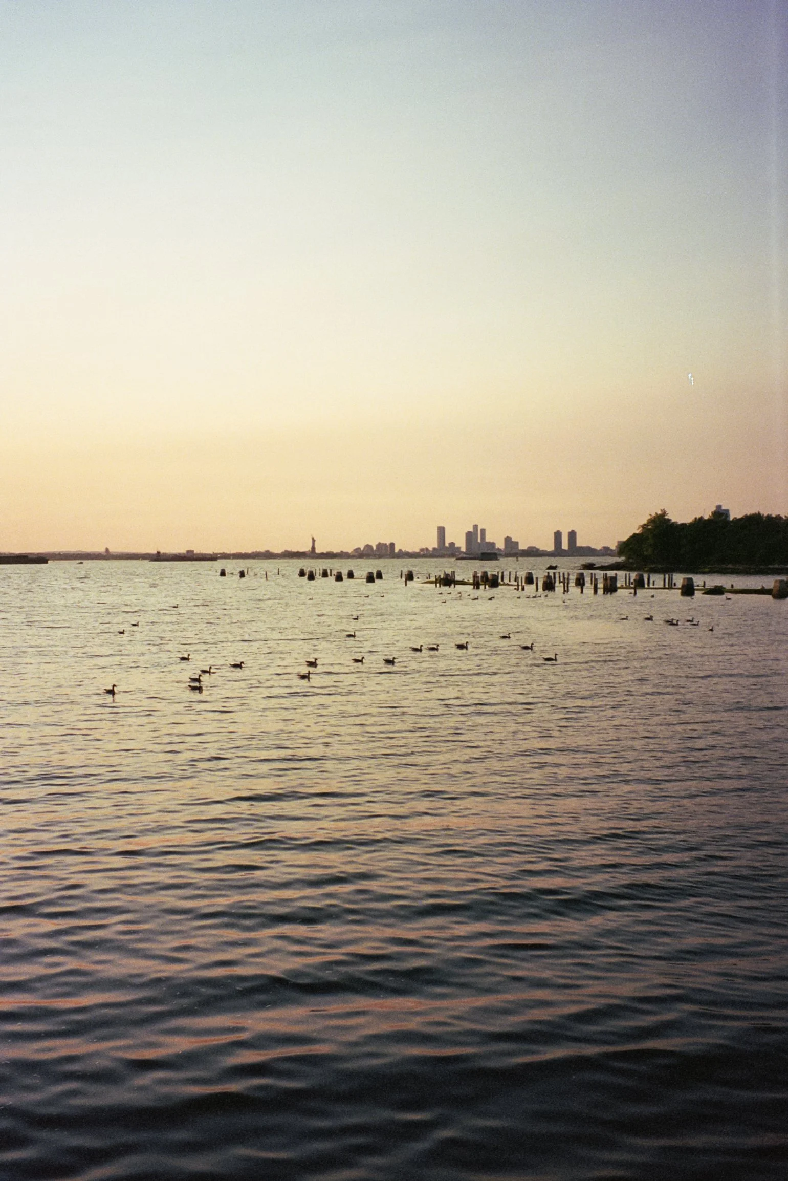 Film Journal-214.jpg