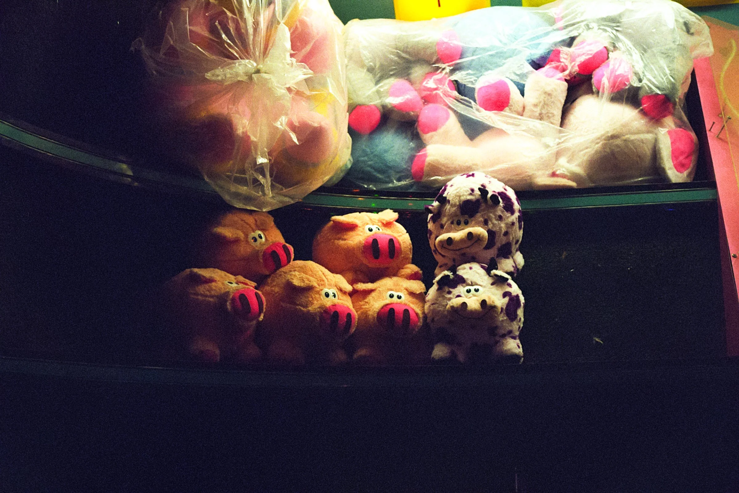 Film Journal-234.jpg