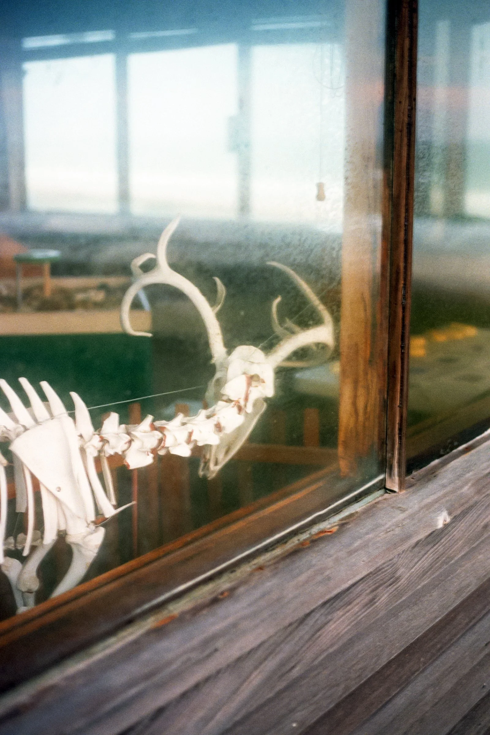 Film Journal-231.jpg