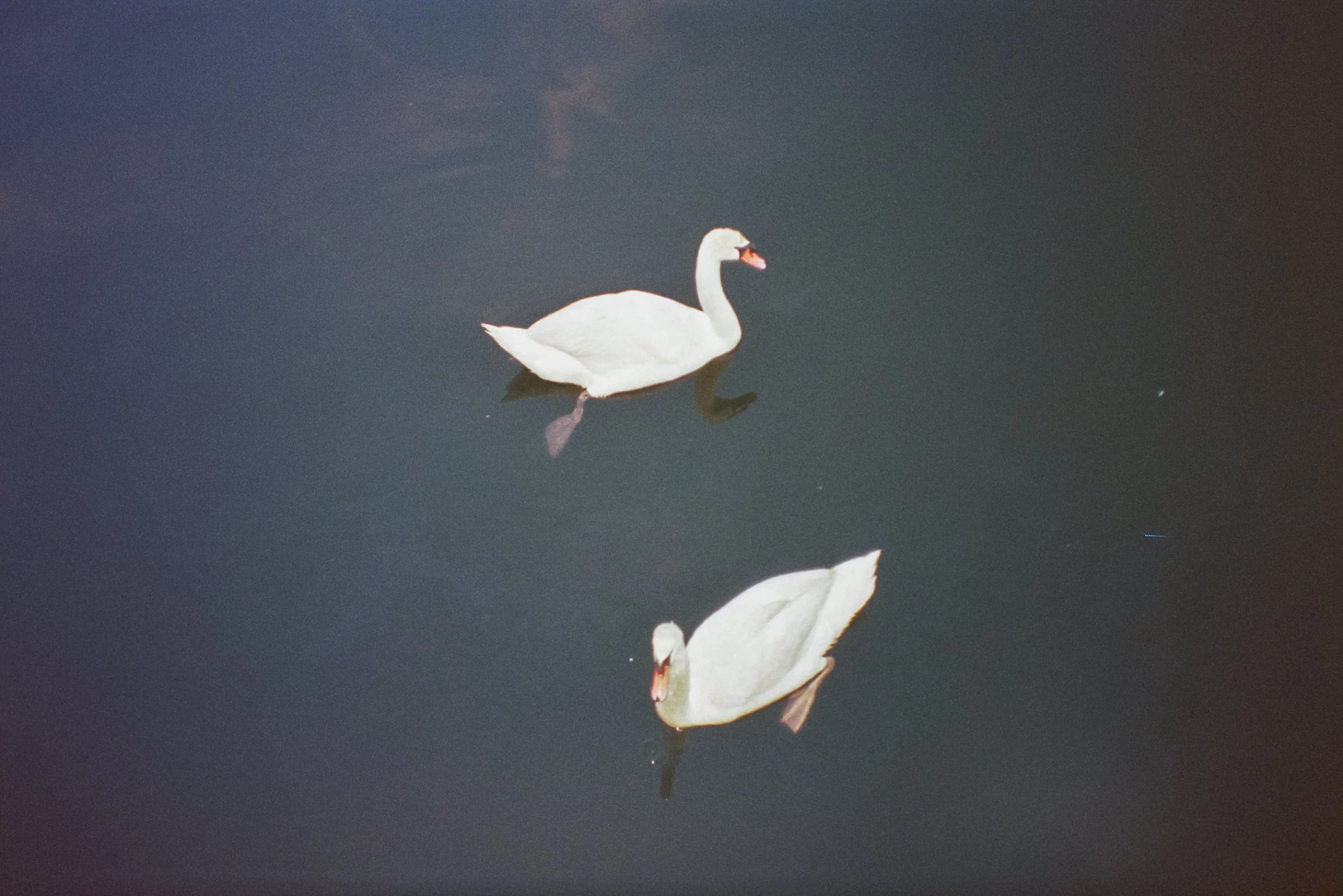 Film Journal-200.jpg