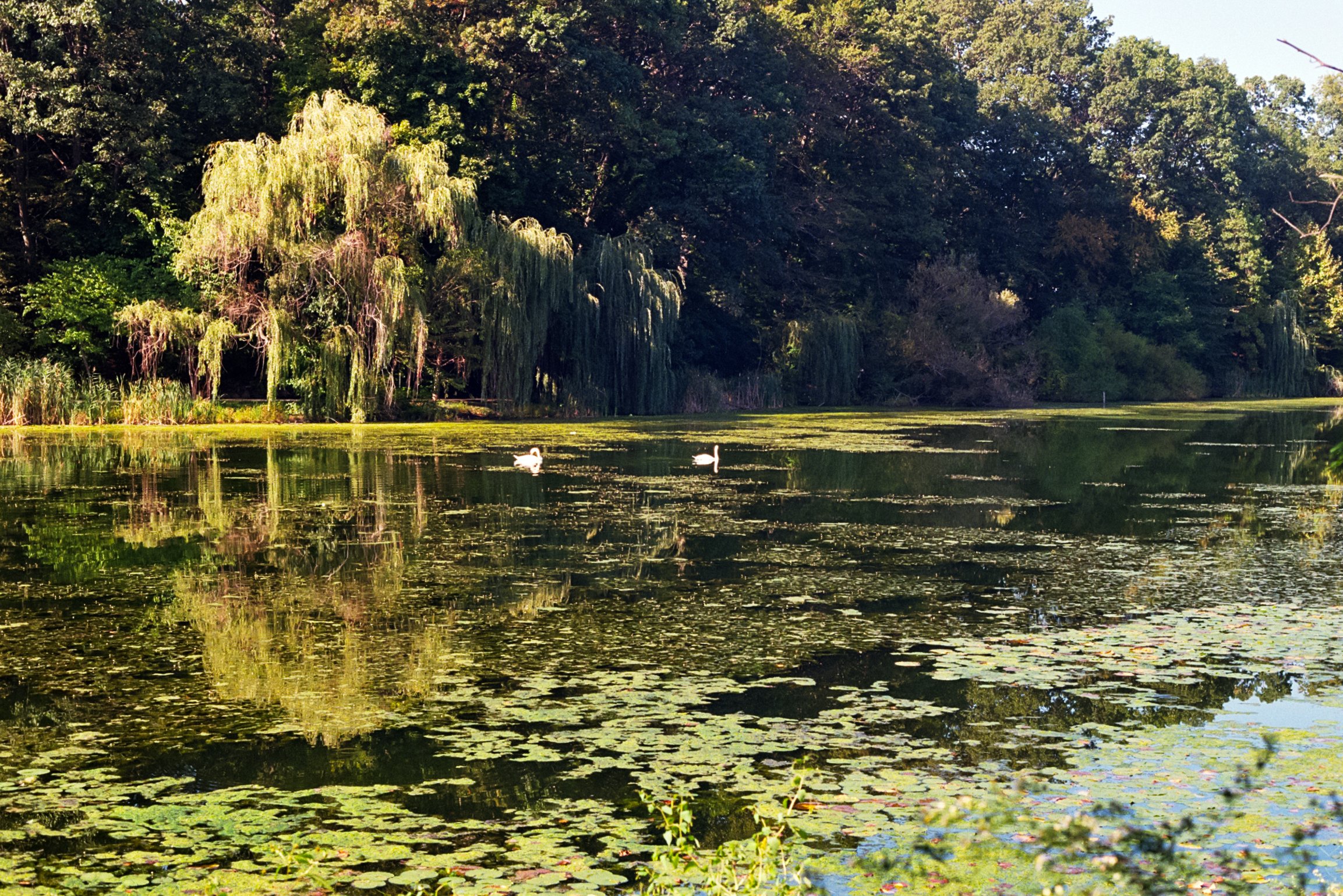 Film Journal-220.jpg