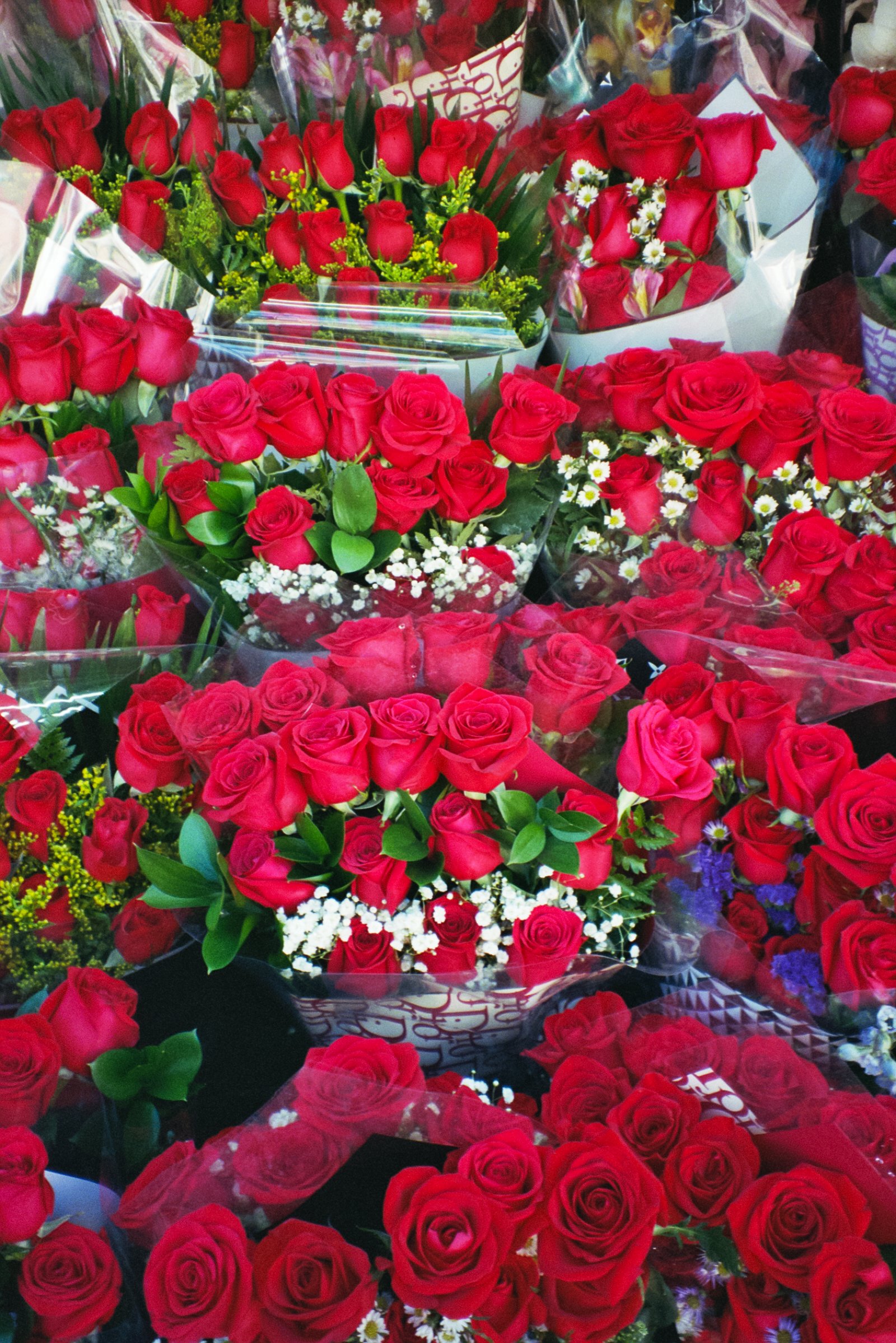 Film Journal-122.jpg