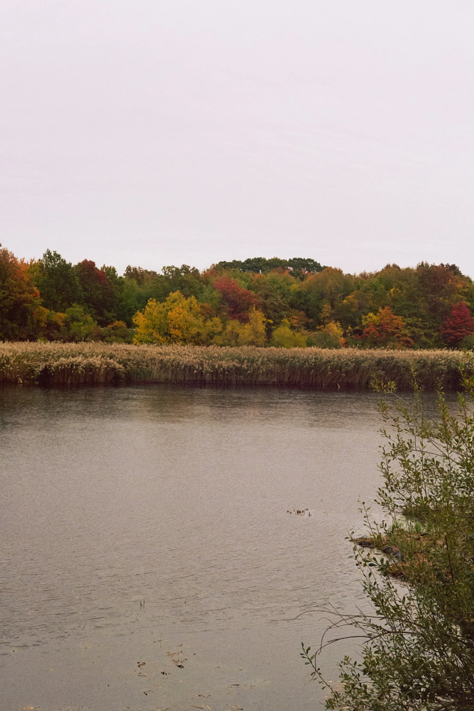 Film Journal-117.jpg