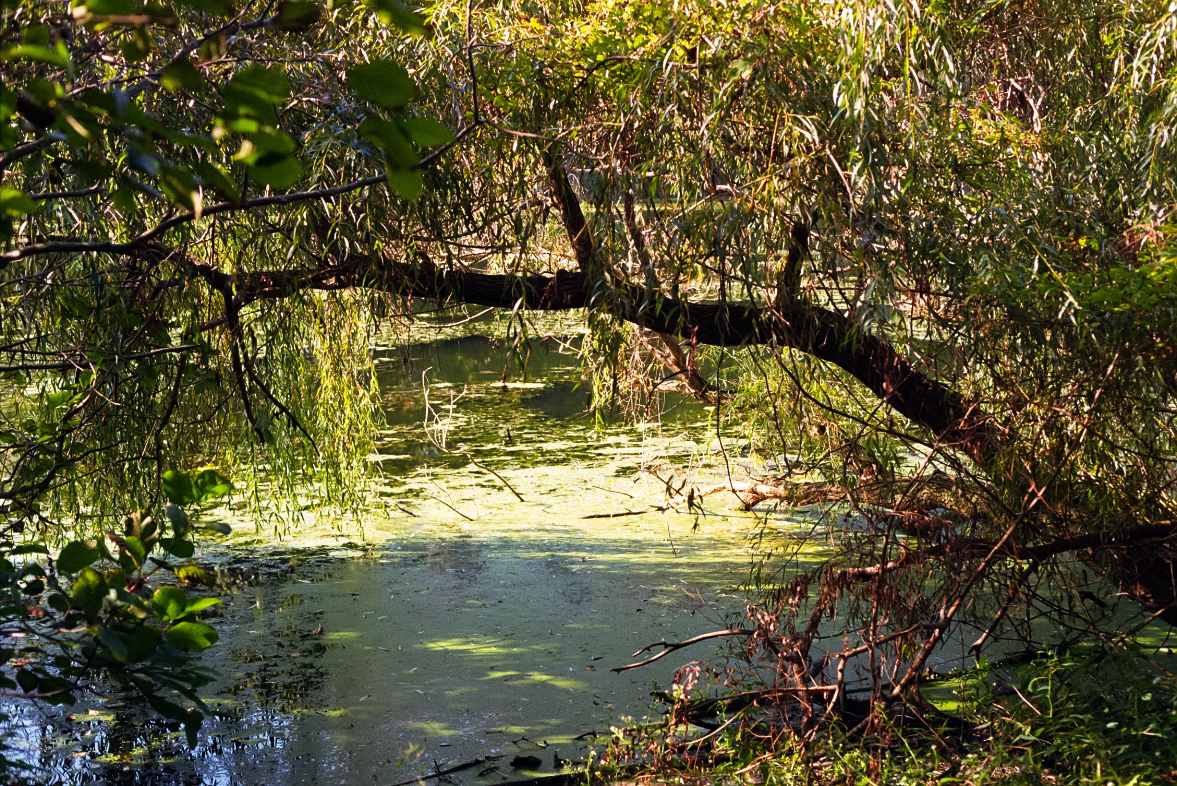 Film Journal-221.jpg