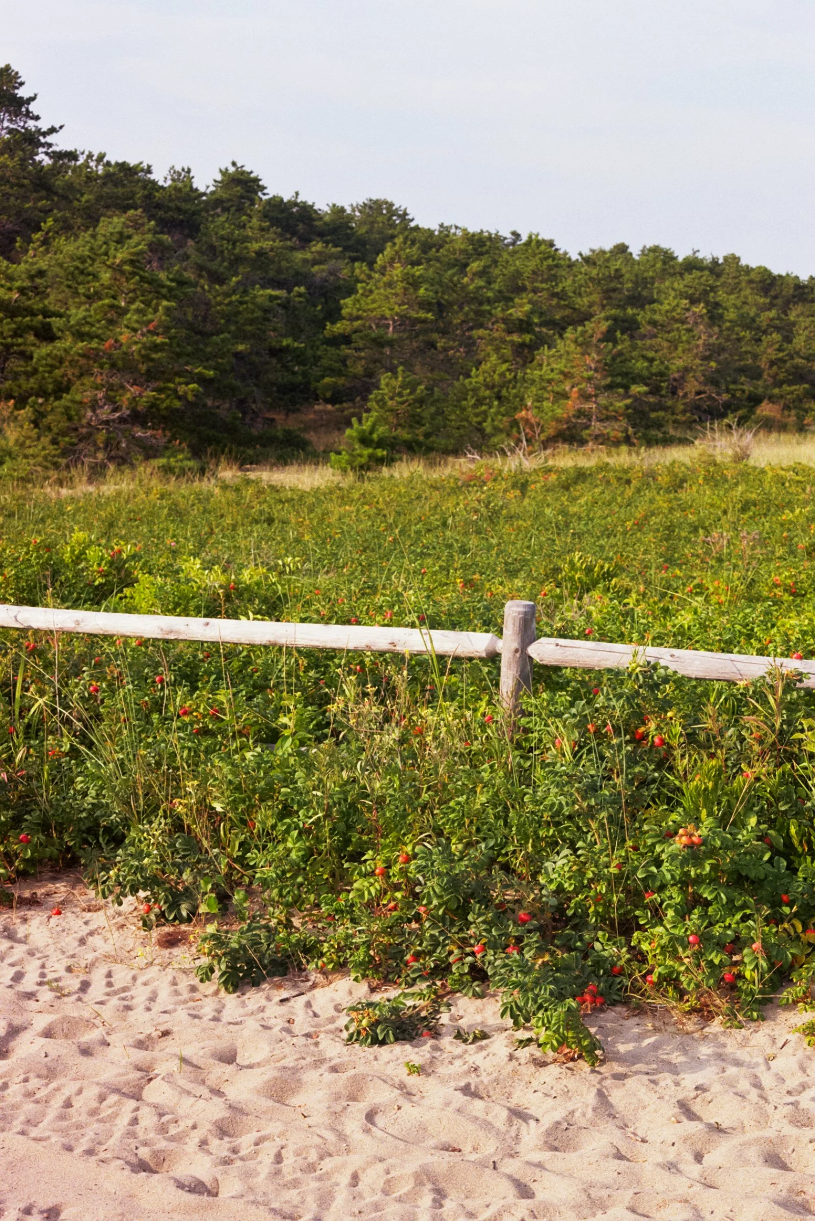 Film Journal-166.jpg