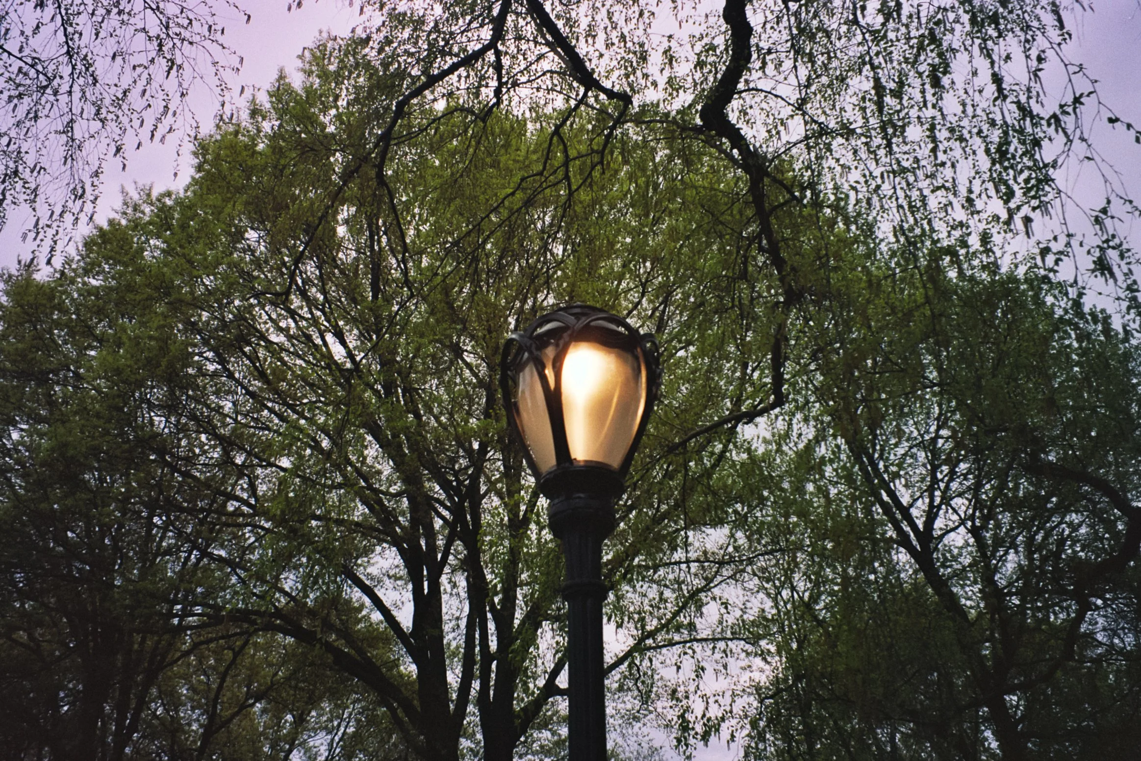 Film Journal-171.jpg