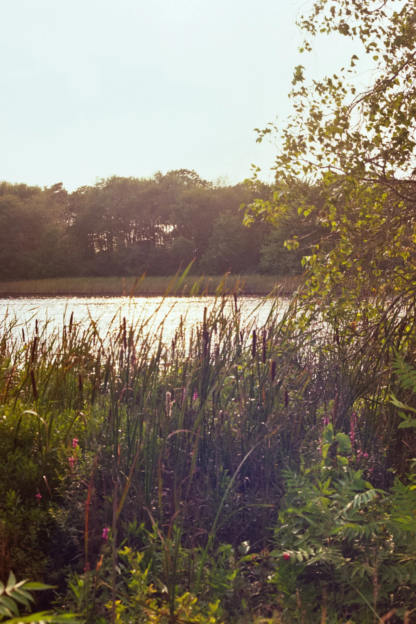 Film Journal-168.jpg