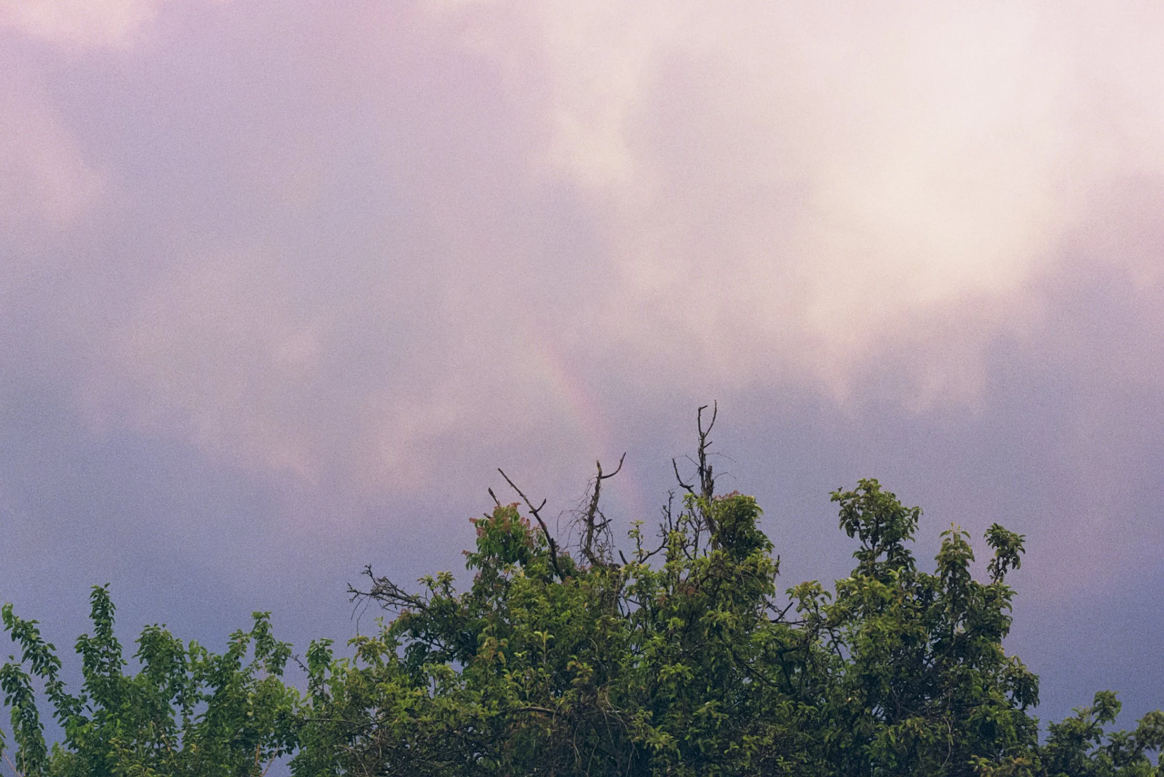 Film Journal-147.jpg