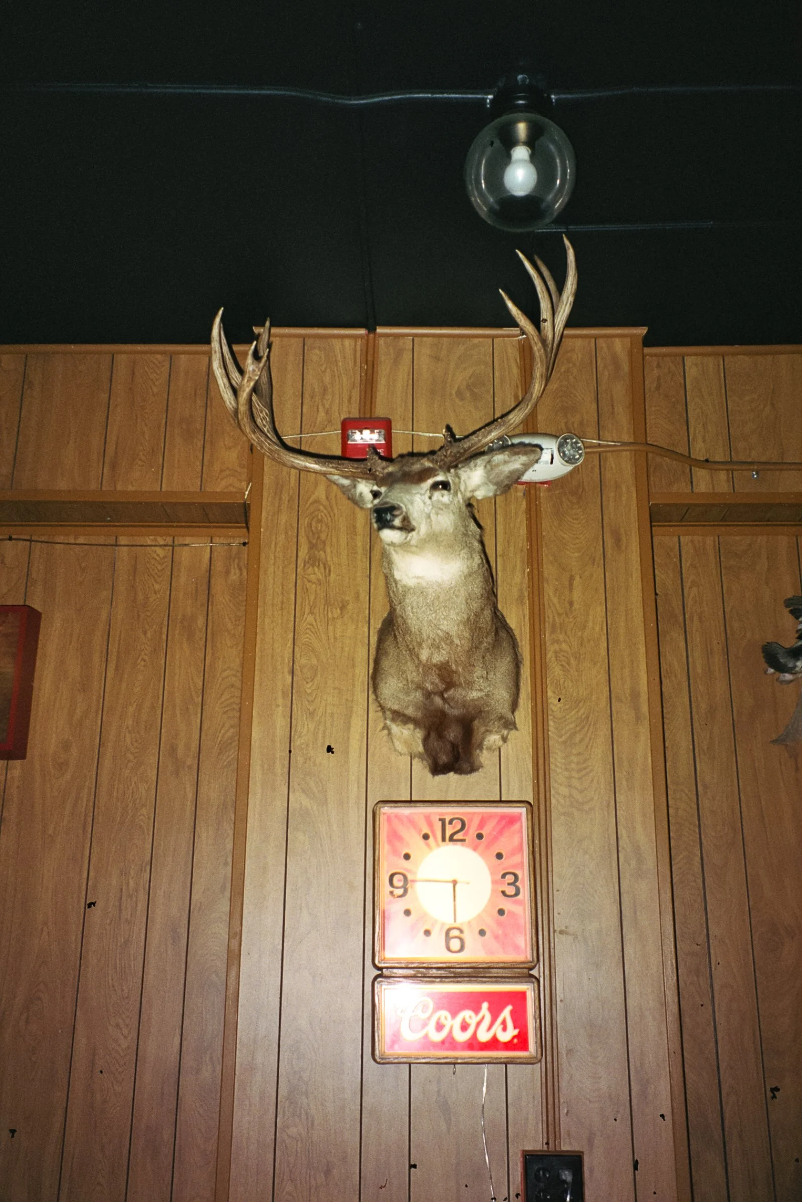 Film Journal-209.jpg