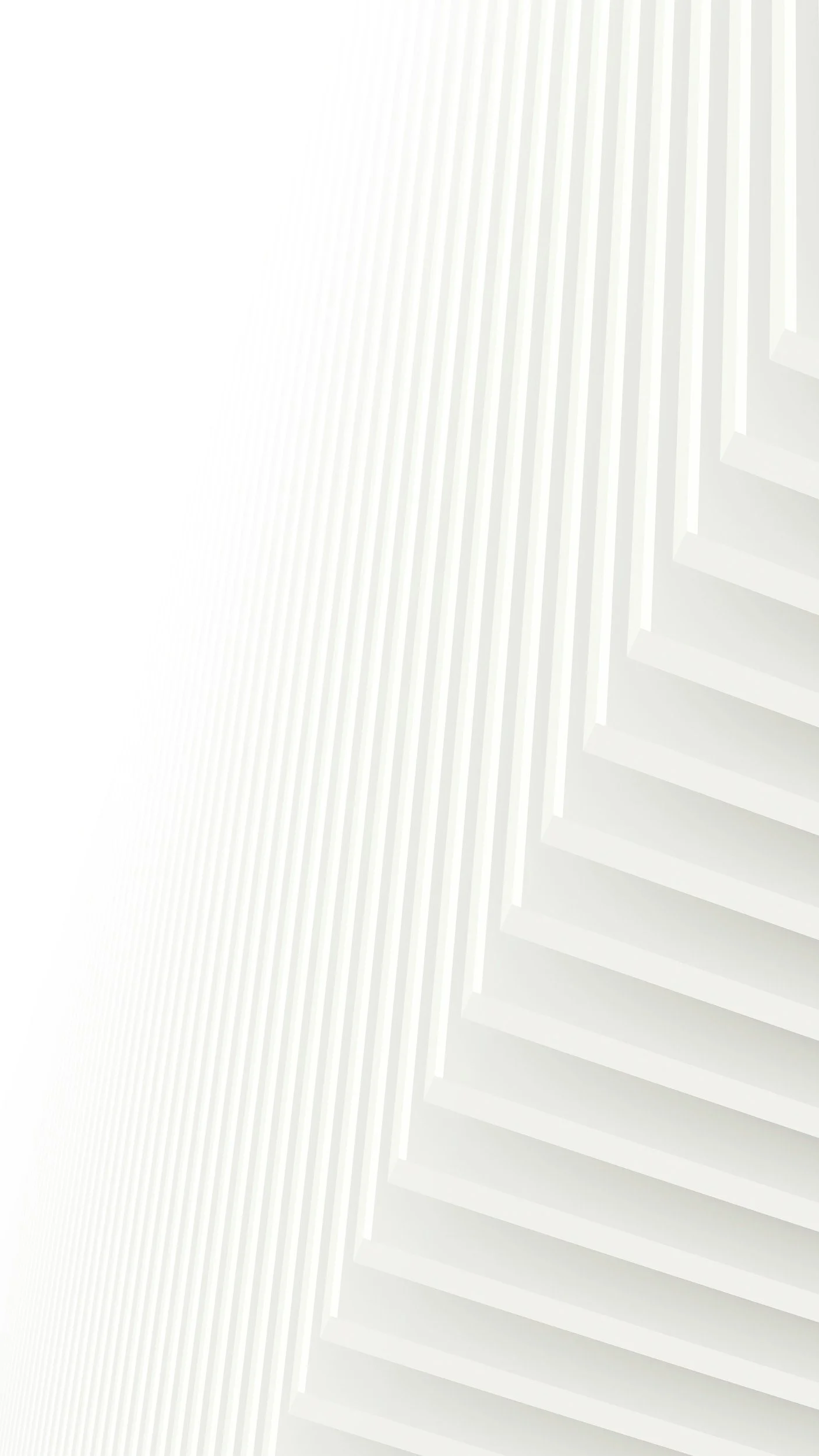 A close-up view of white window blinds with sunlight streaming through.