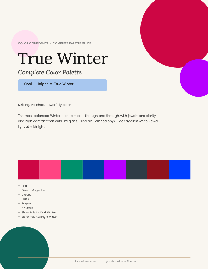 True Winter Palette + Beauty Guide