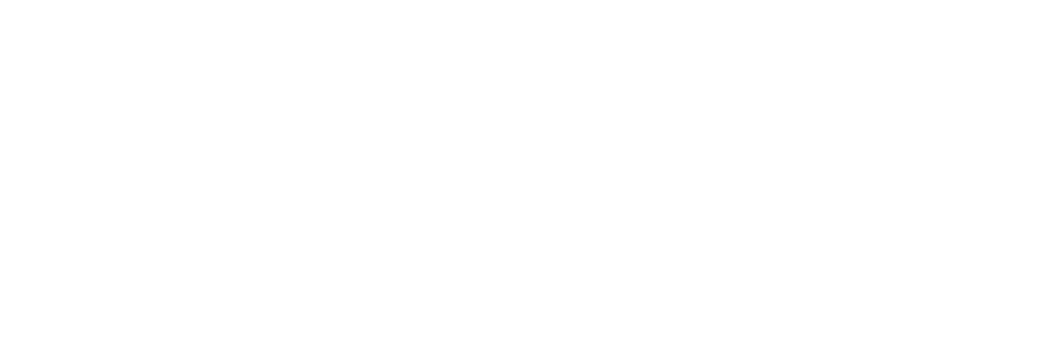 Abacus Solutions Group