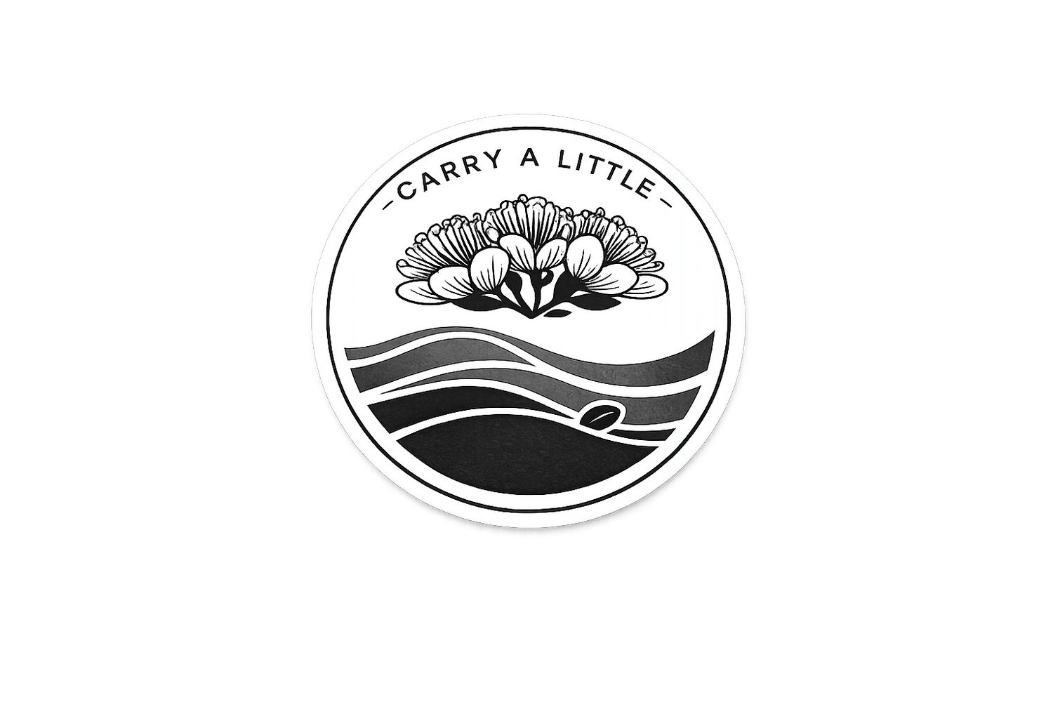 Carry a Little