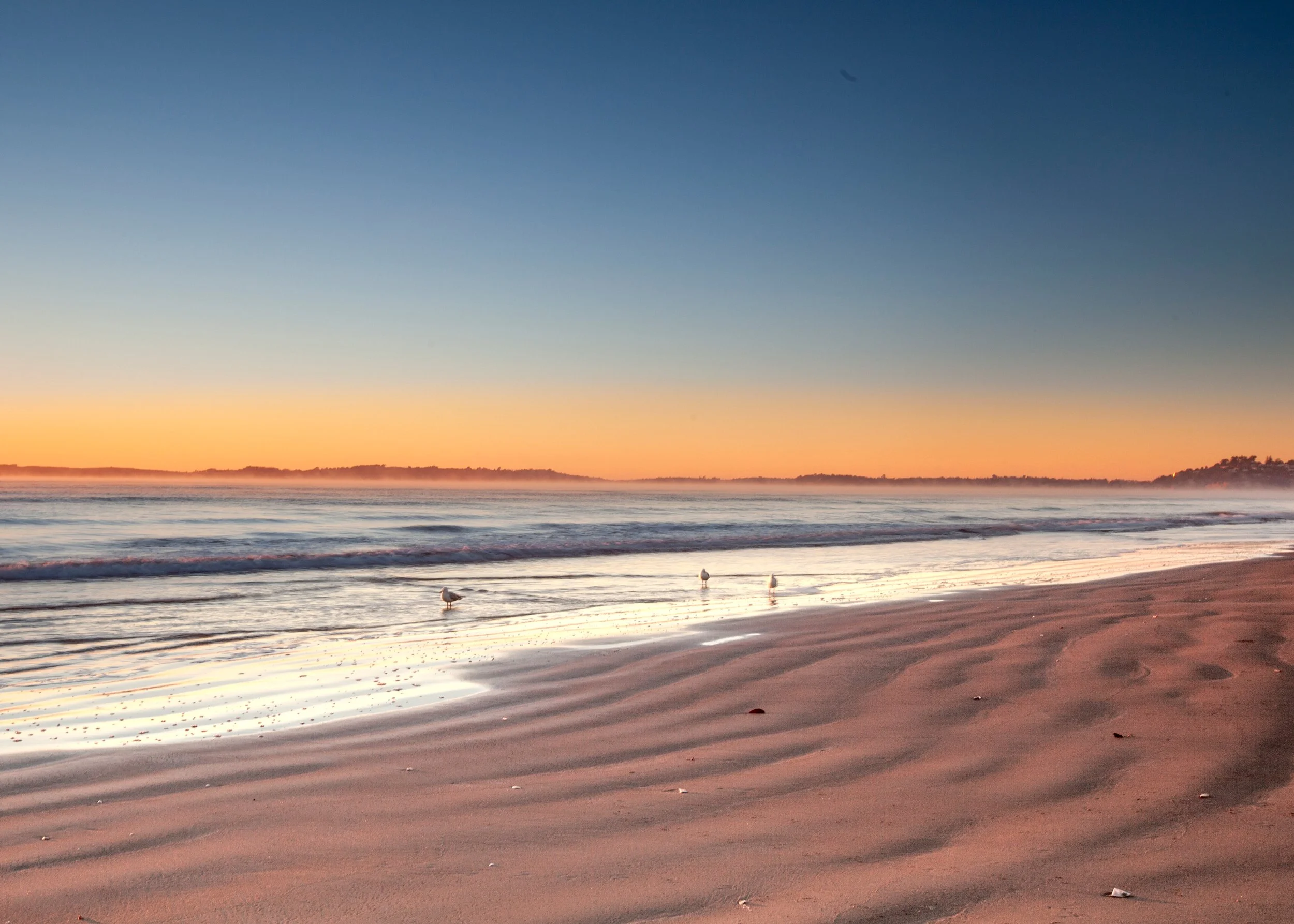 Sunrise over Orewa Beach with calm water and seabirds.