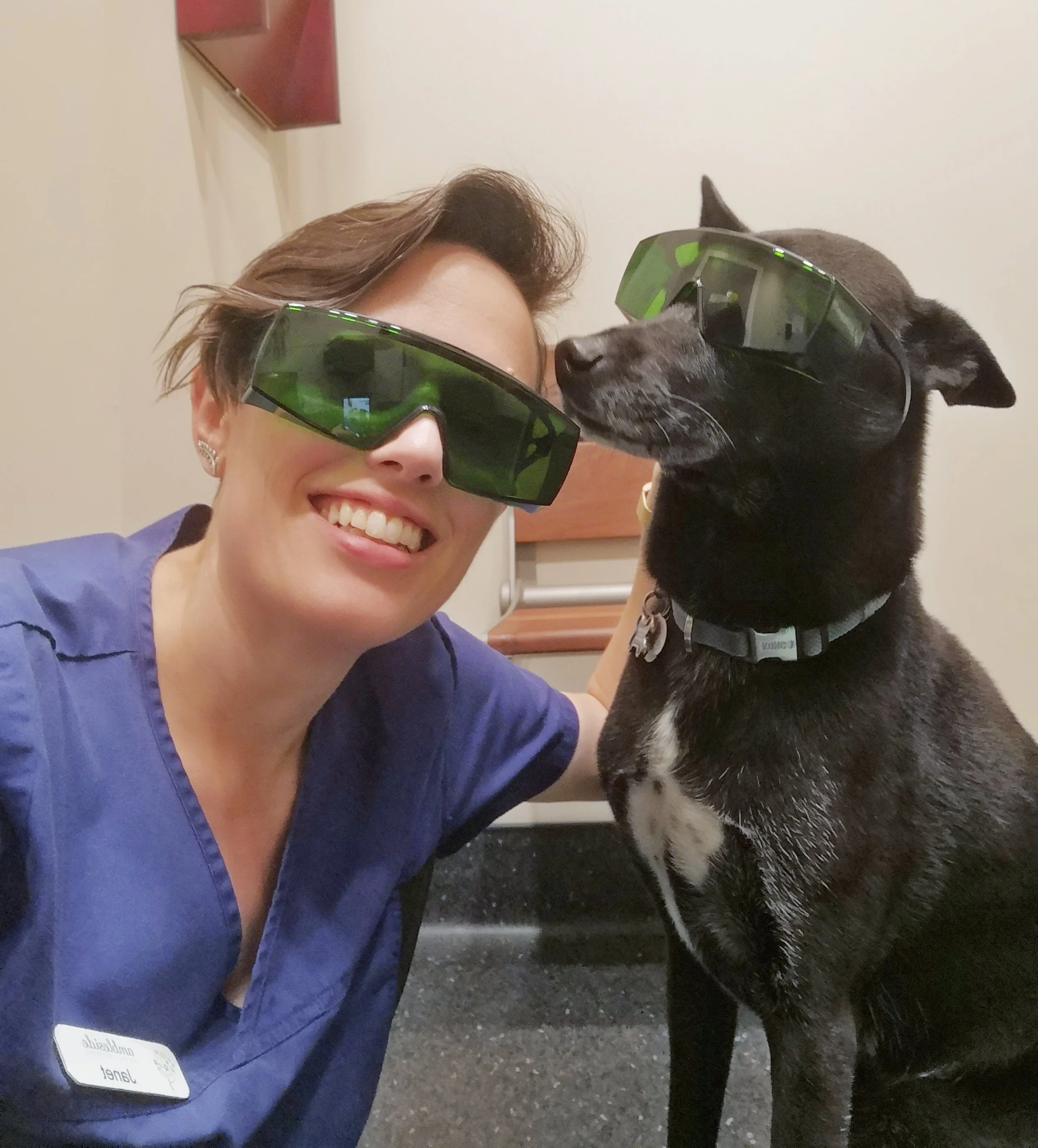 A woman and a black dog wearing protective gear for therapeutic laser are close together, both looking at each other, with the woman smiling and the dog appearing curious. They are indoors in a veterinary facility.