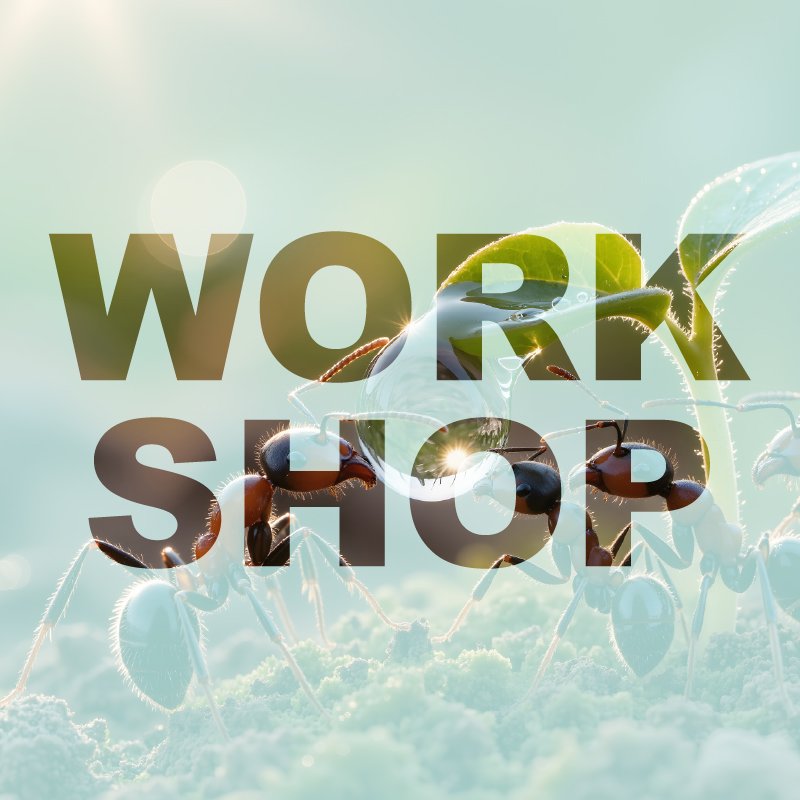 Alberta Pest Management Association