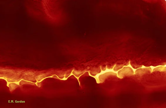 eri 001500617 preferred size.jpg