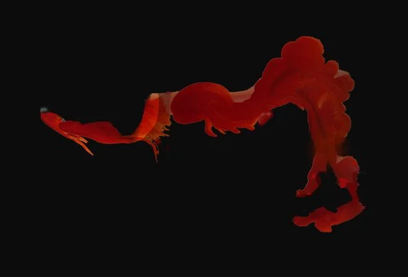 Untitled-1 copy 2.jpg