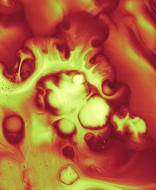 eri 001388 sized.jpg