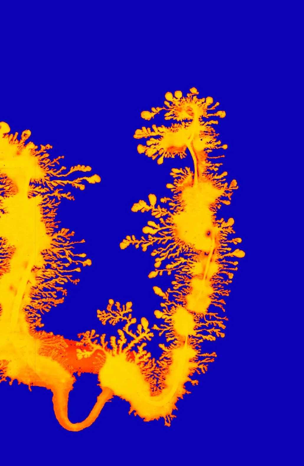 finalskdksdkddk022 copy.jpg