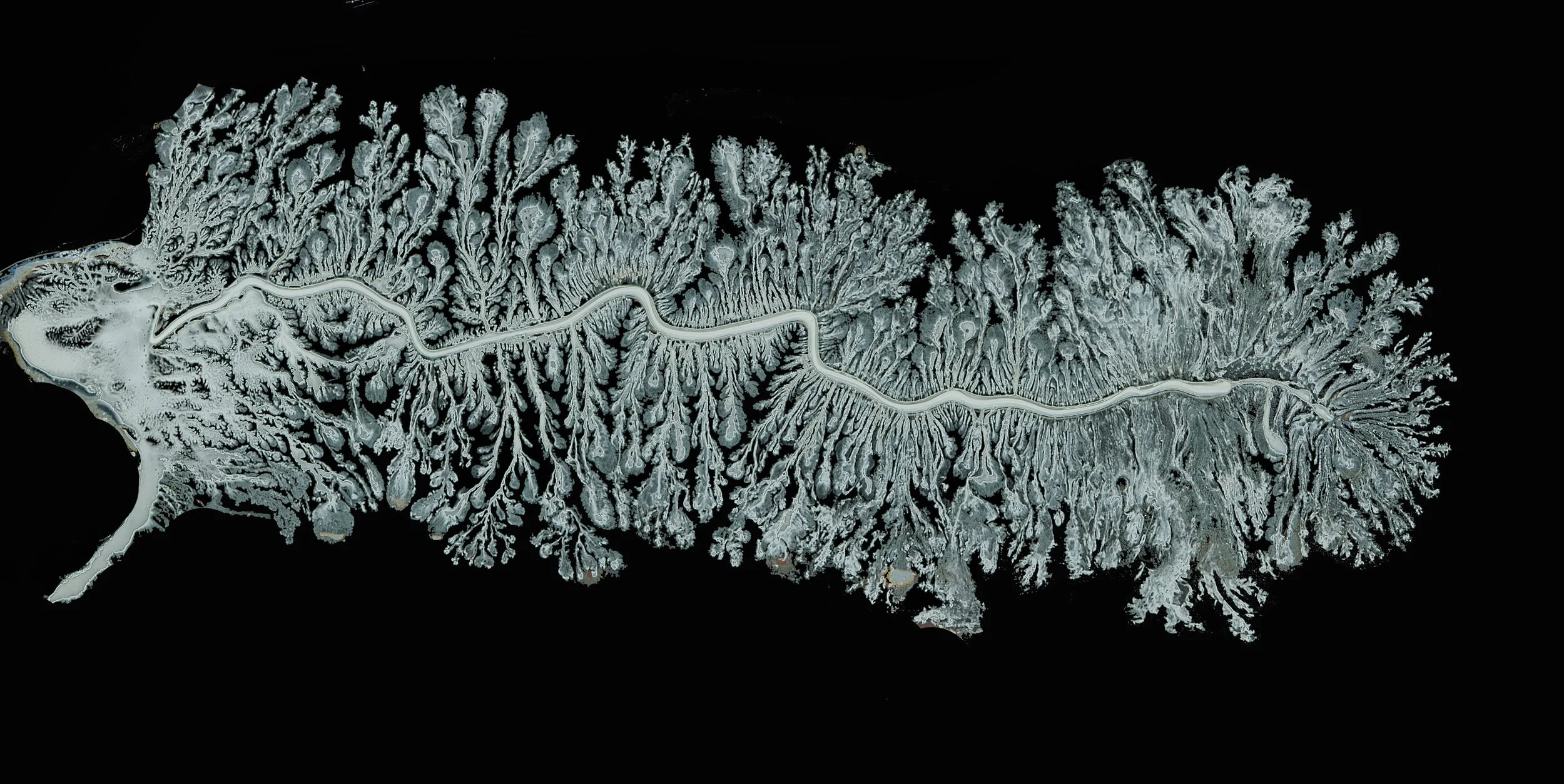 雪径 (The Path of Snow).jpg