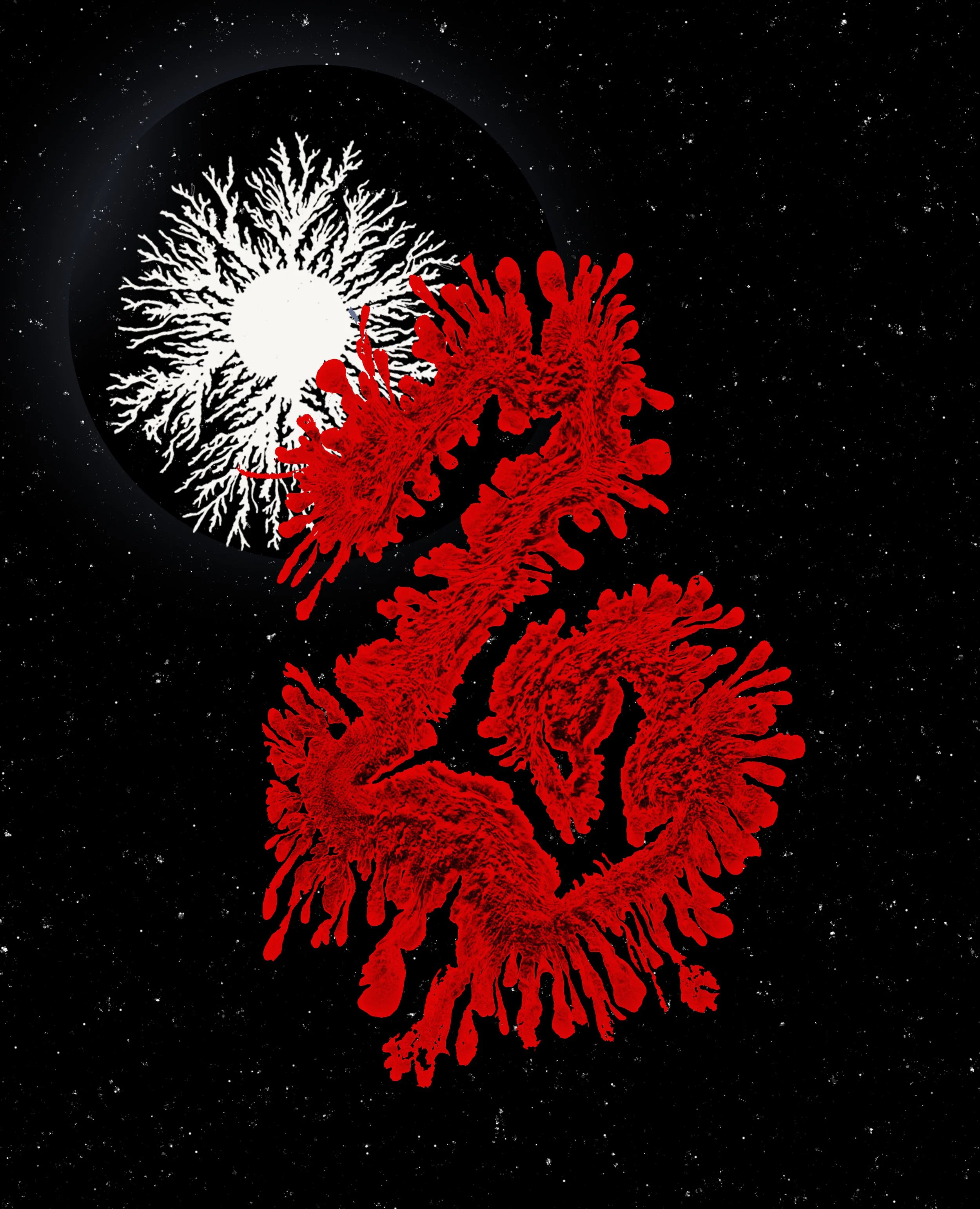 EMG - 2783 copy 2.jpg