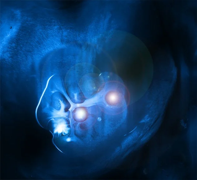 emg 800583 copy 13.jpg