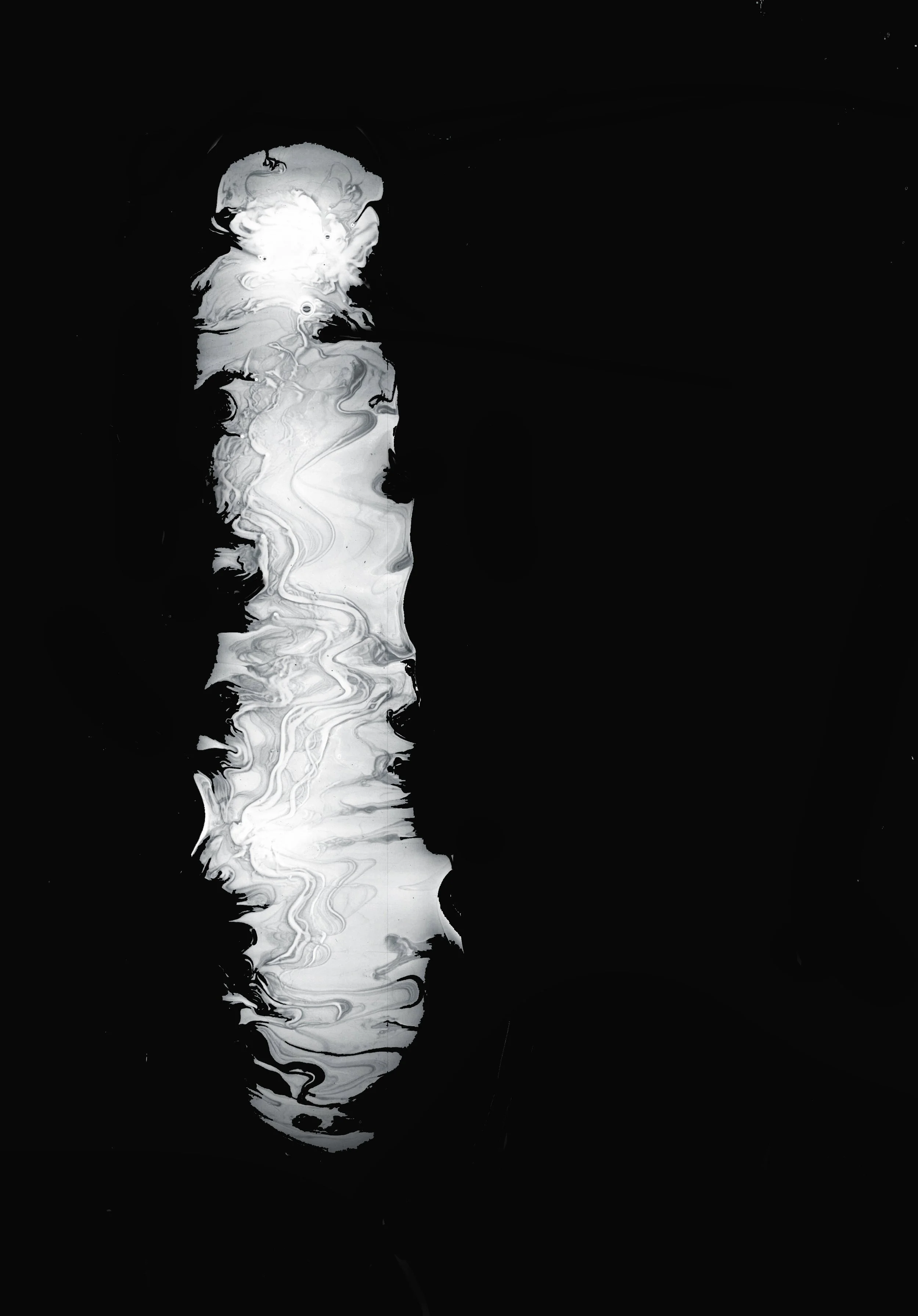 img G1000064 copy.jpg