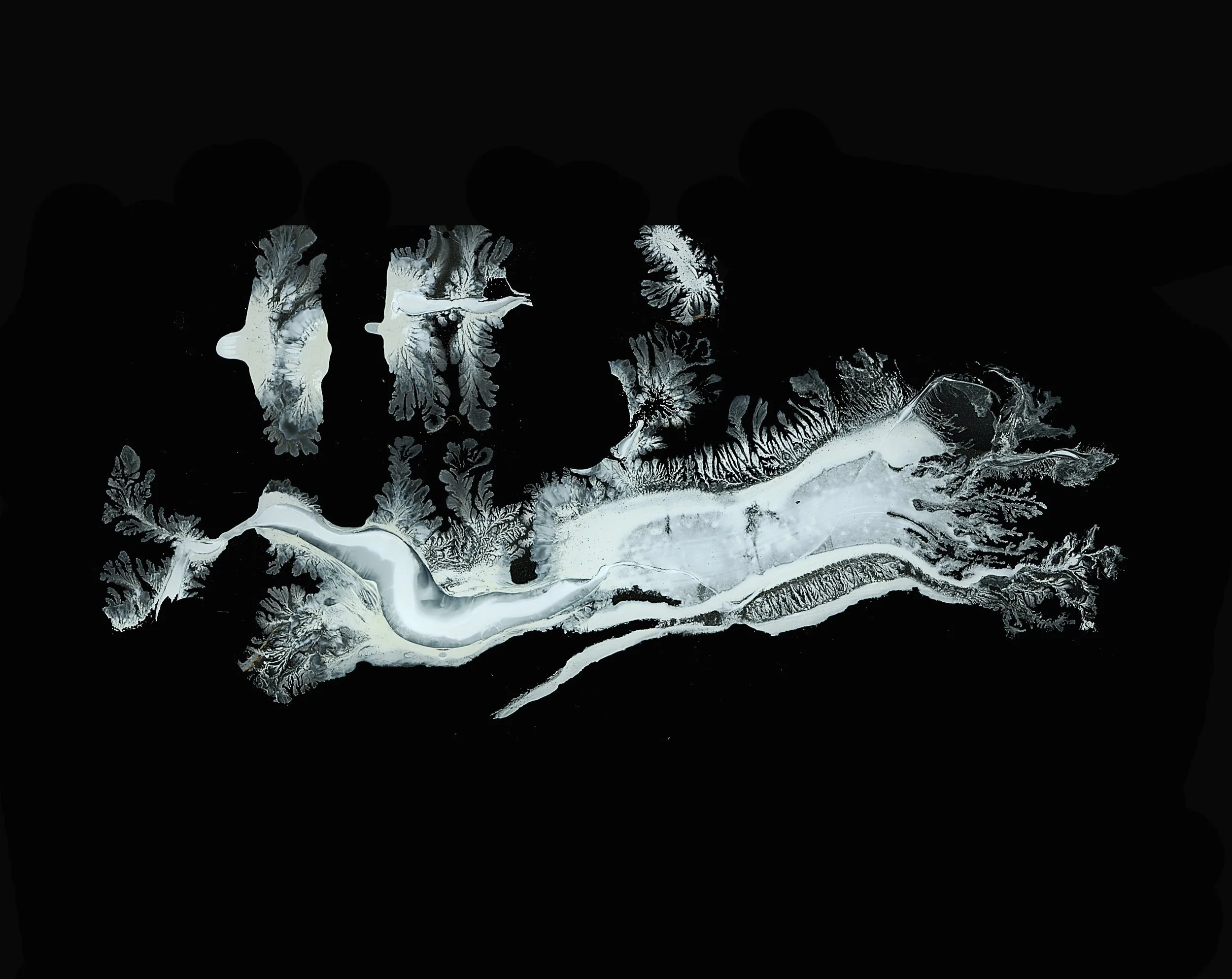 THIS ONEK,DK,F,FD copy 2.jpg