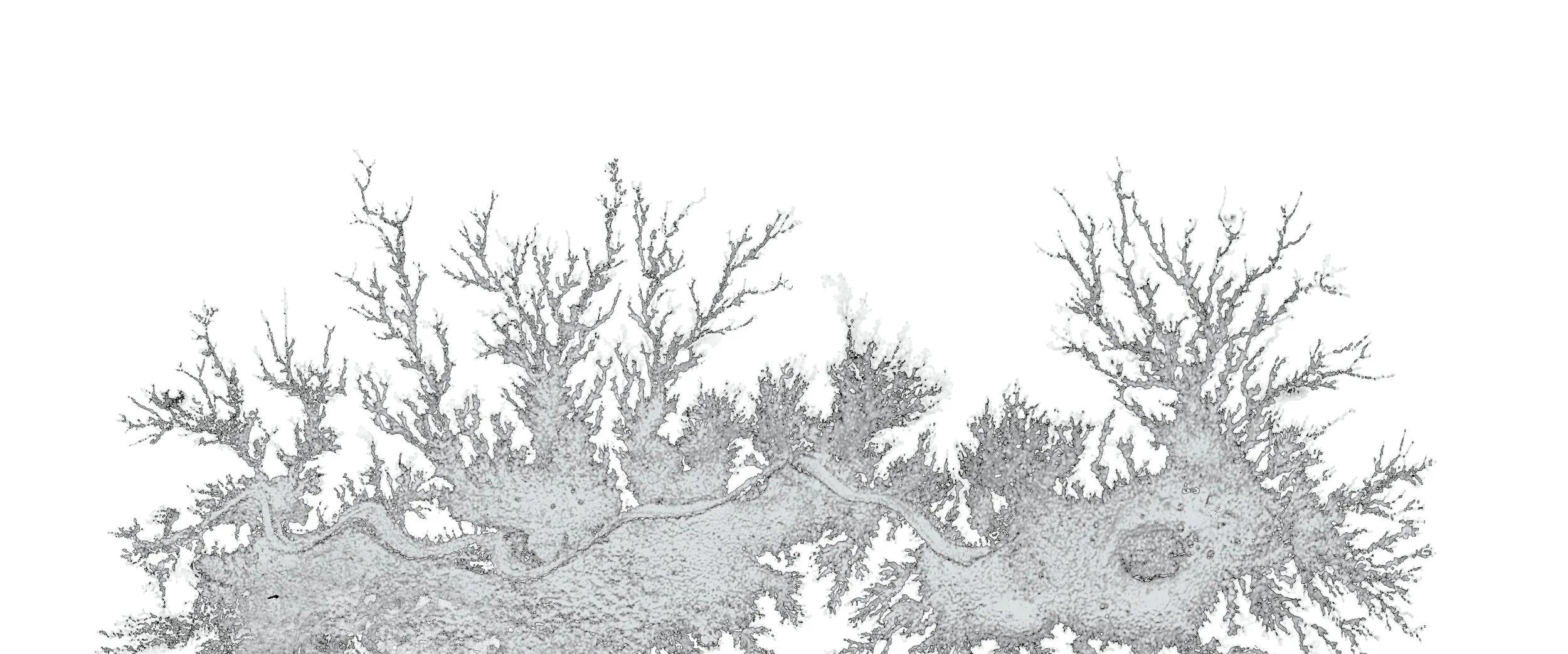 Final copoylalqlwelsesl copy.jpg