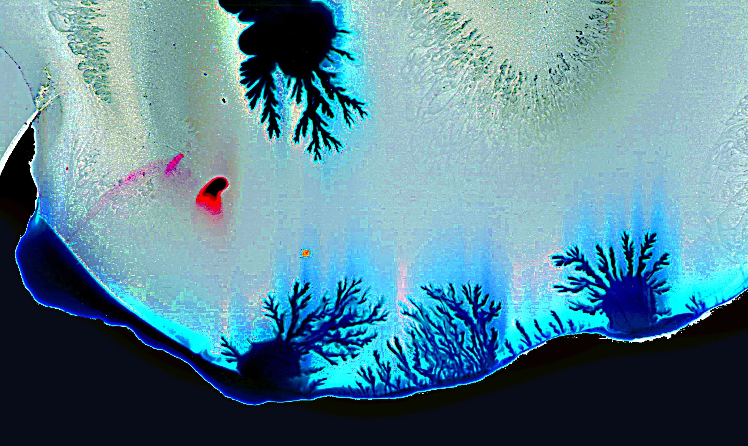 bestfjgkhlj copy 46.jpg