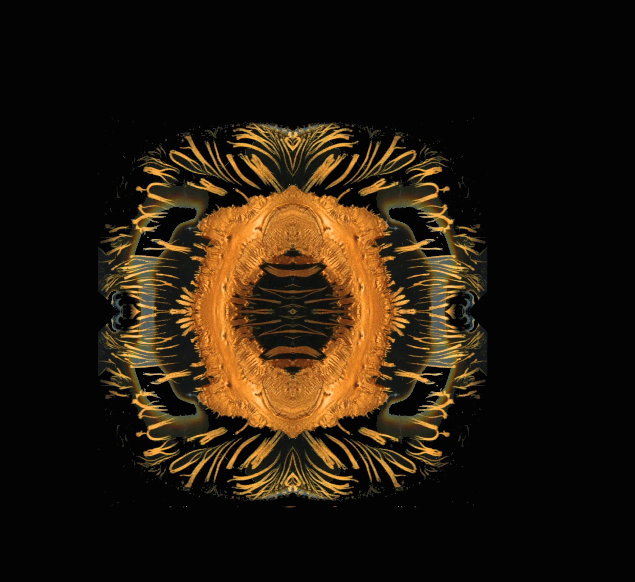 FFklrklkrolrolrl, copy.jpg