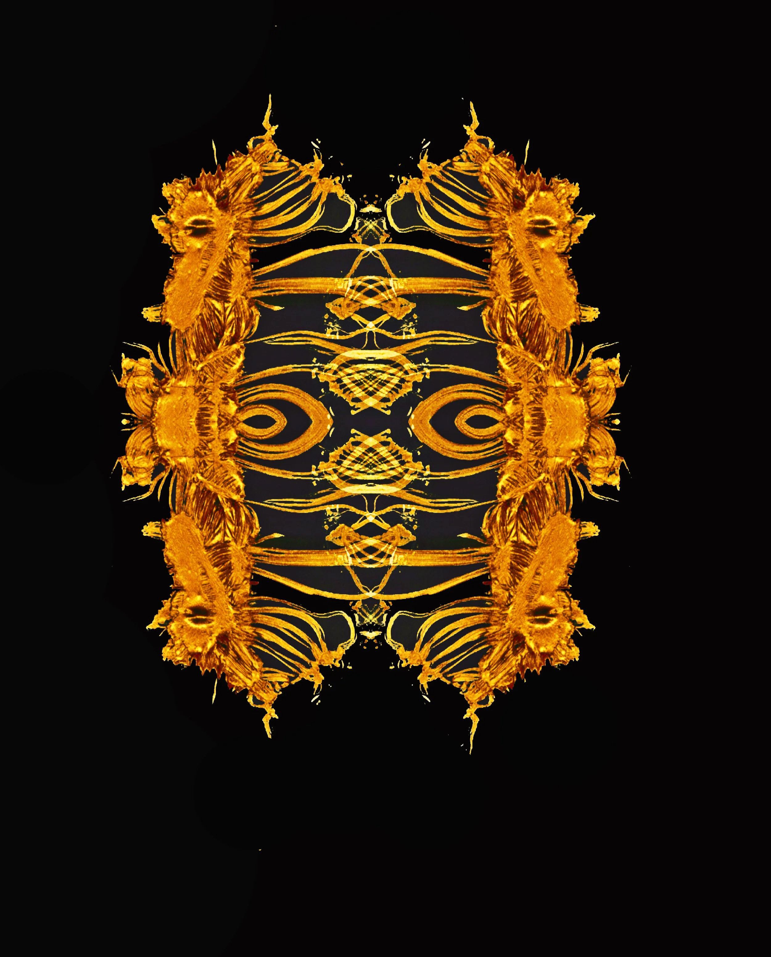 pwp;s[delfrlf copy 4.jpg