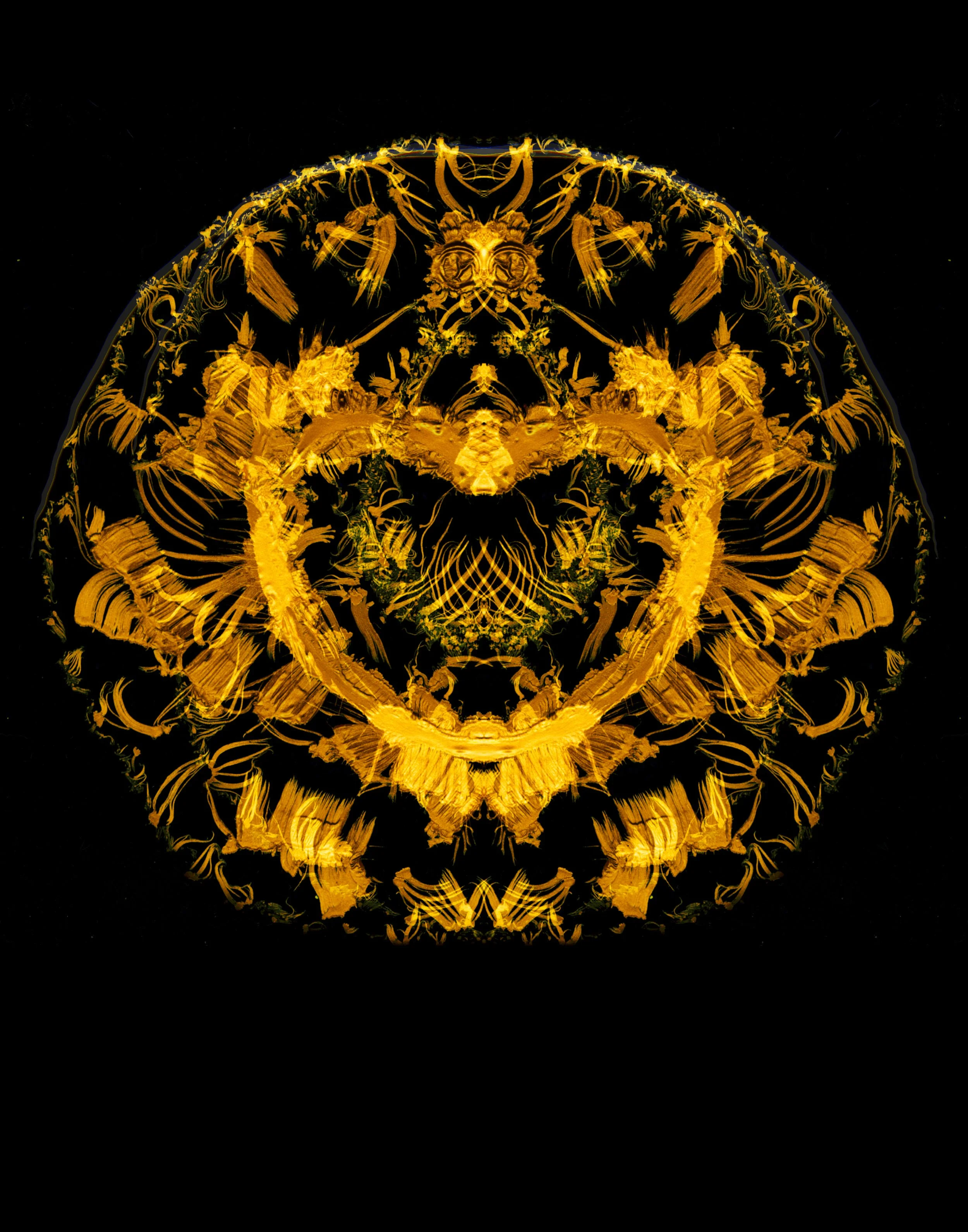 EMG - 1747 copy 3.jpg