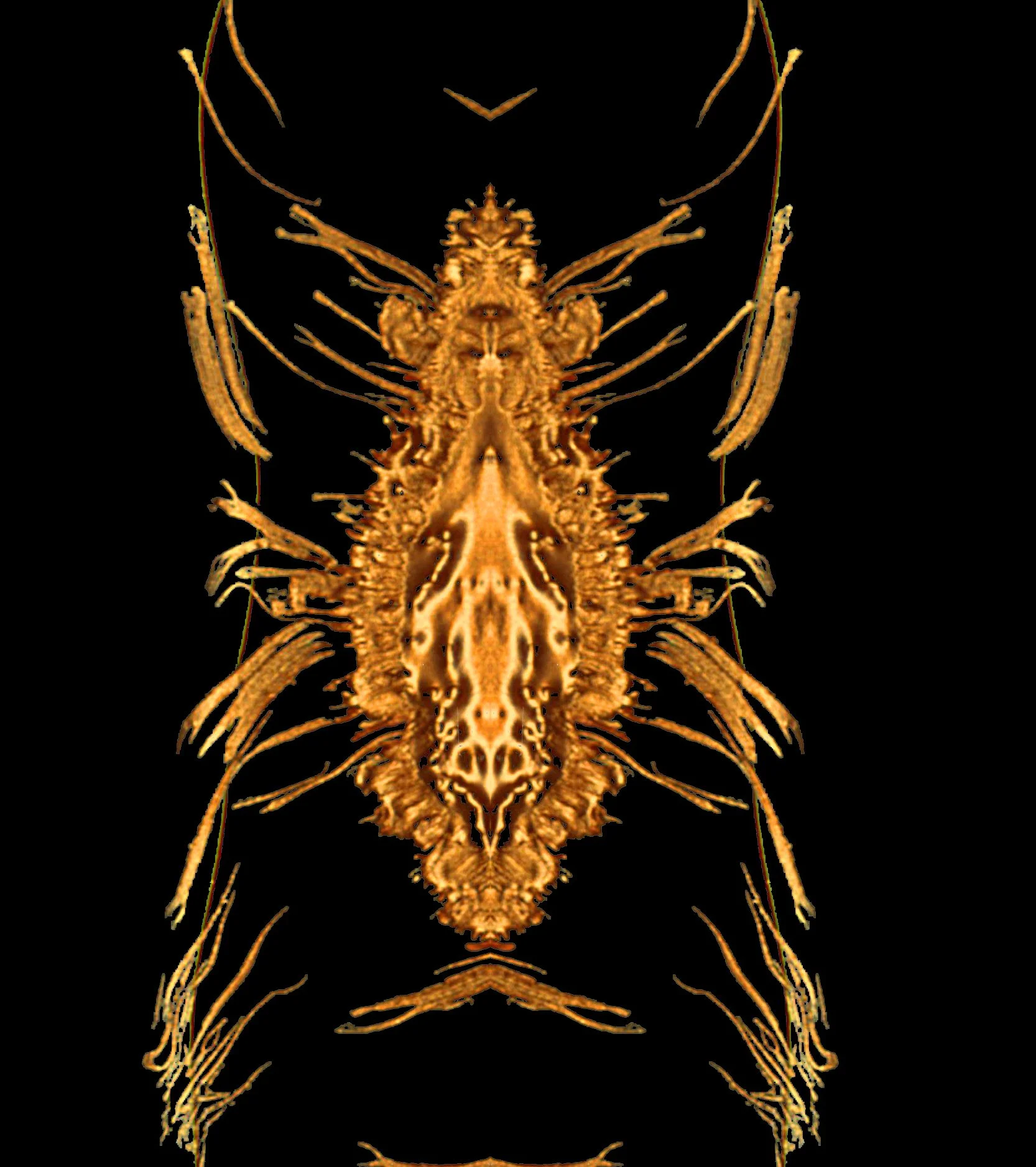 FF copkdkdkfkmcd.jpg