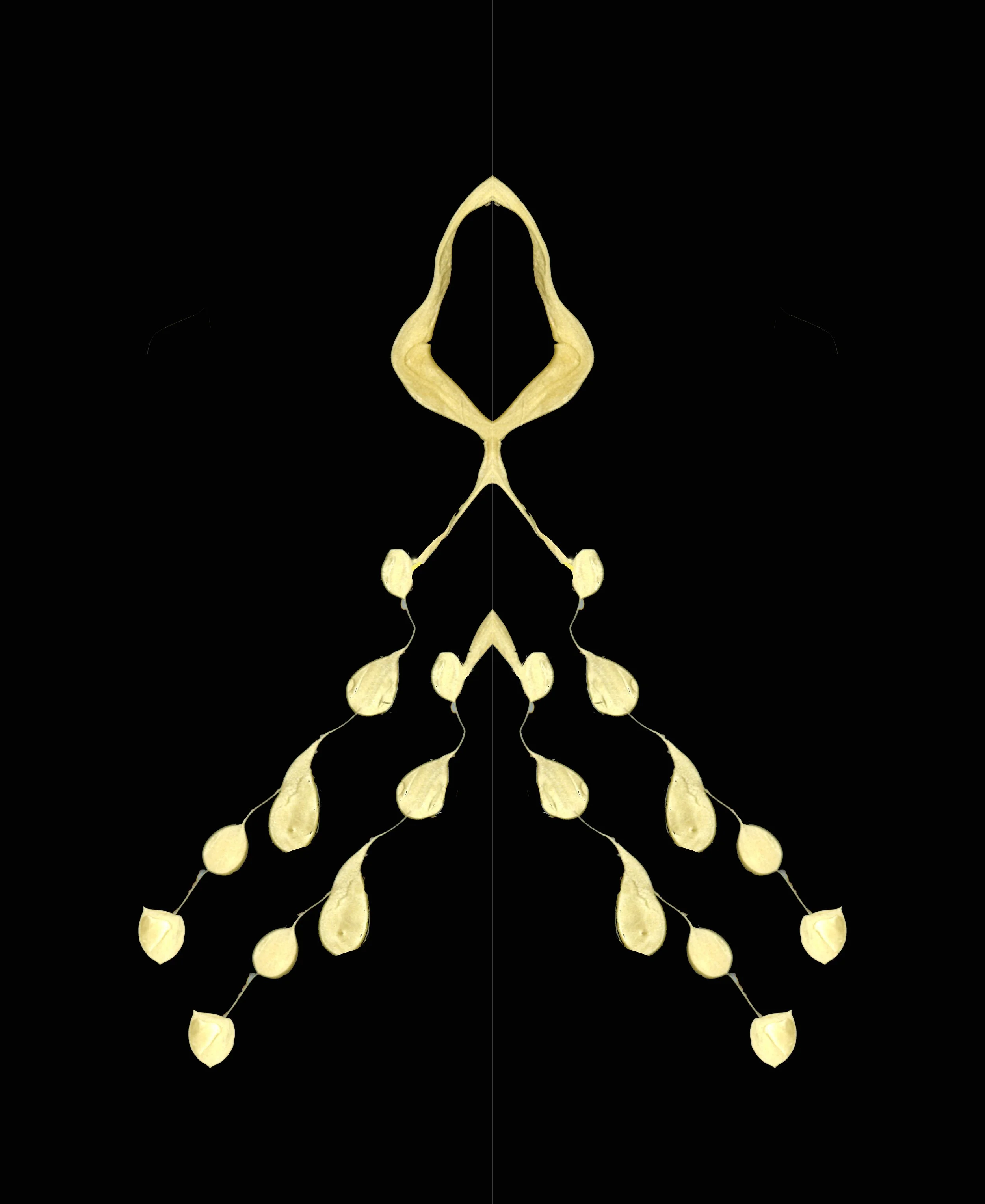 First reflection 1175.jpg