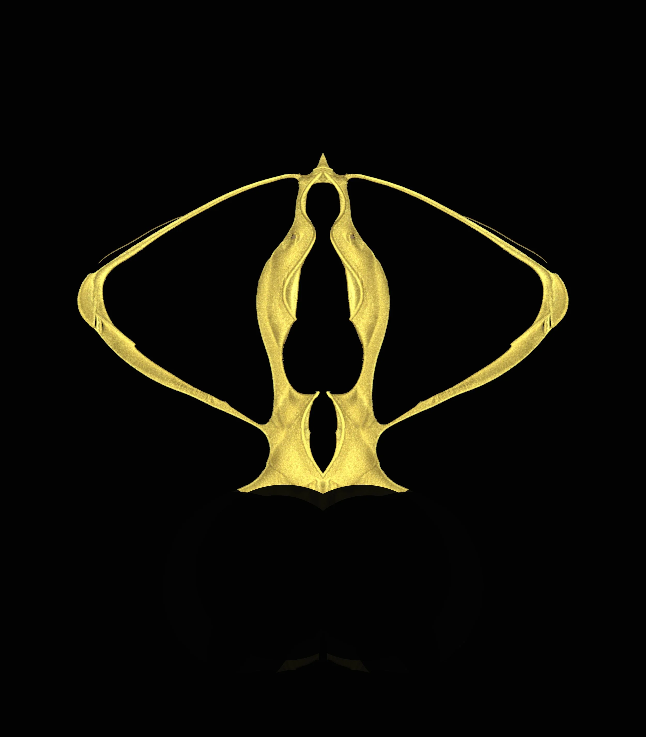 First reflection 1136.jpg