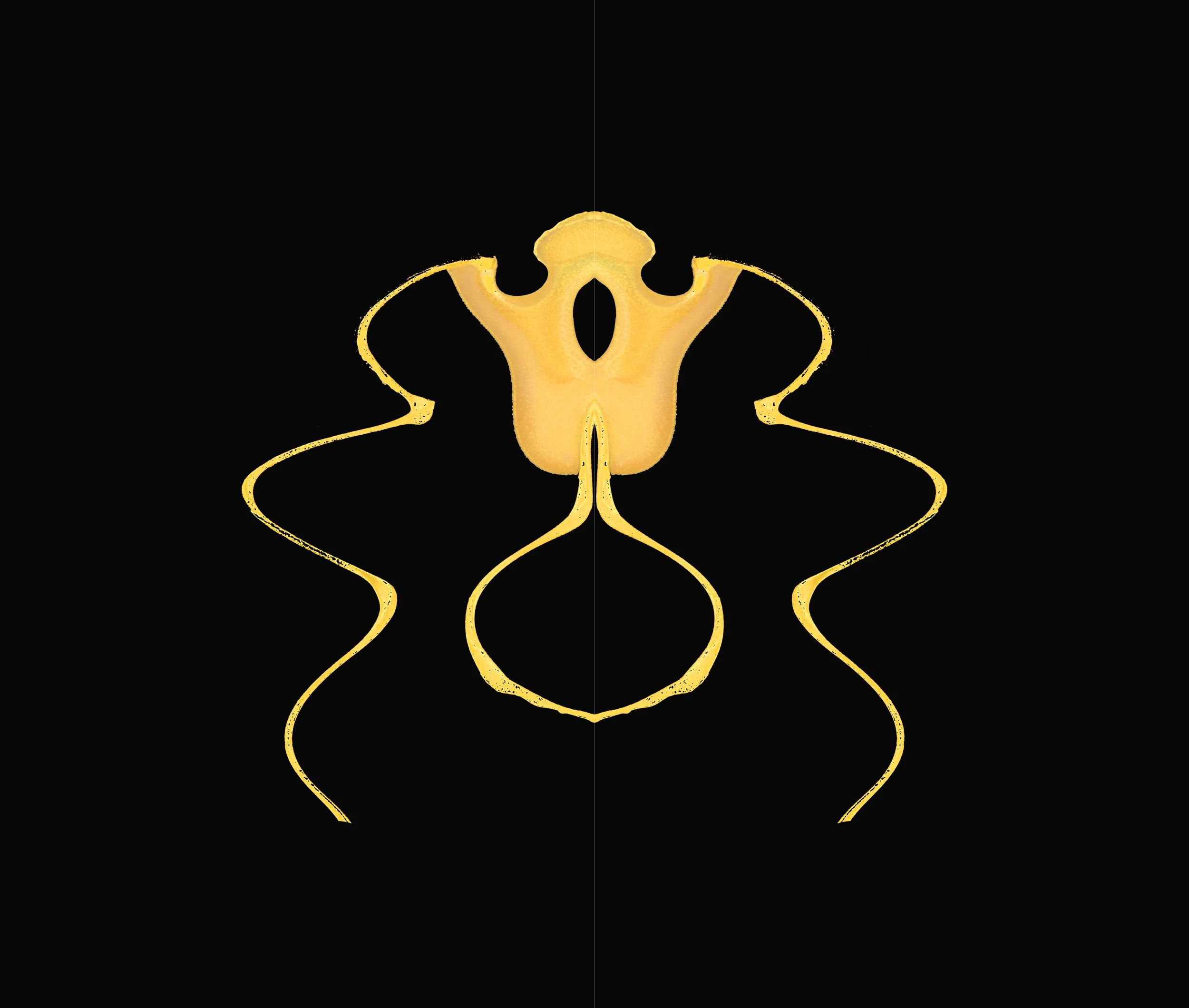 First reflection 1172.jpg