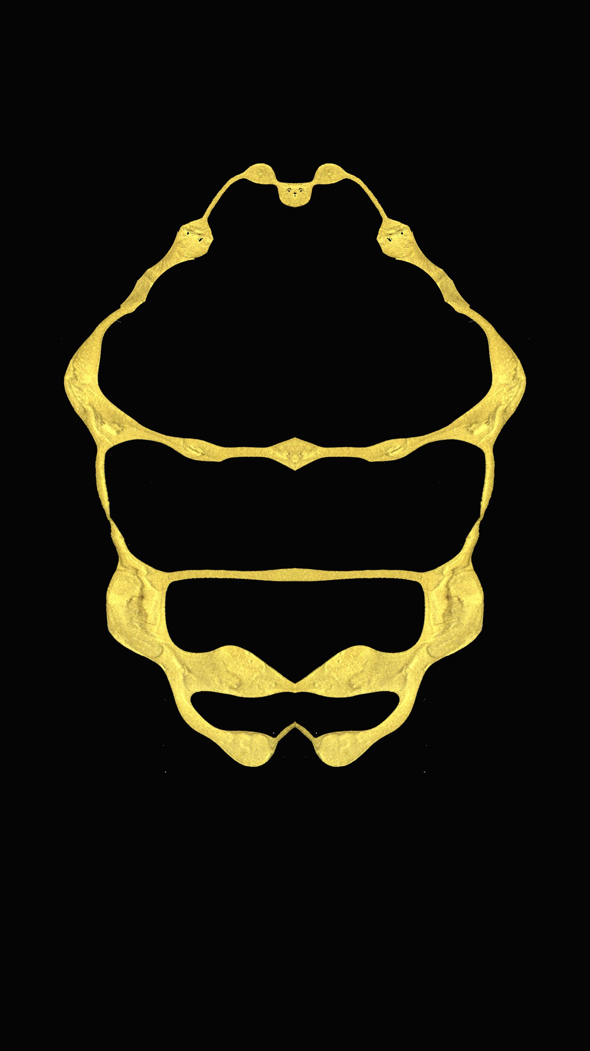 First reflection 1161.jpg