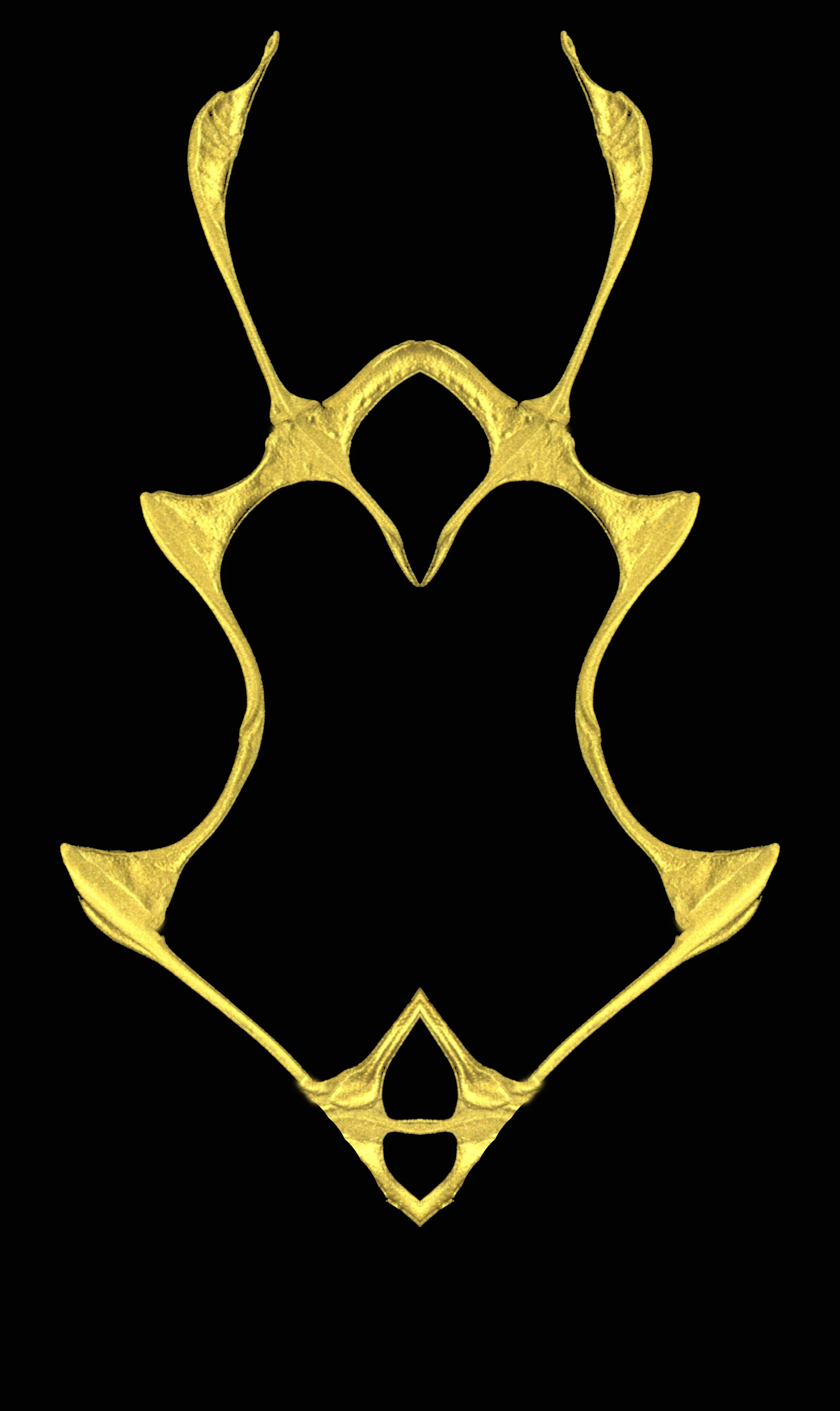 First reflection 1146.jpg