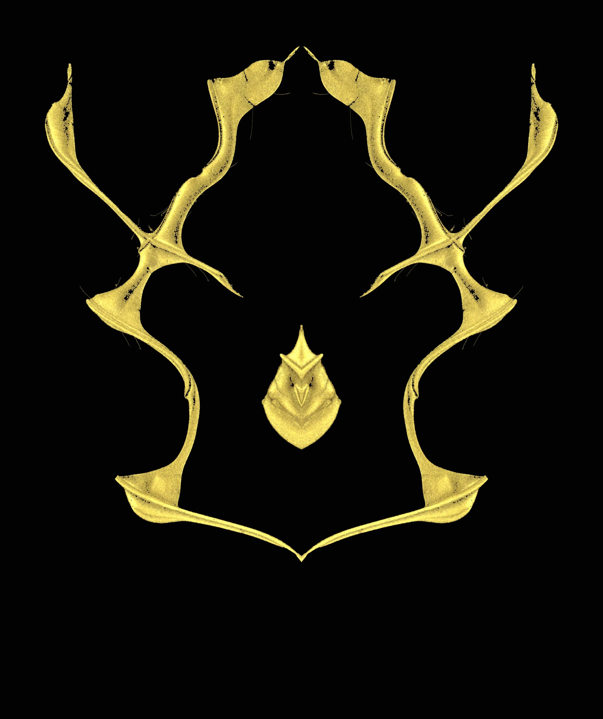 First reflection 199.jpg