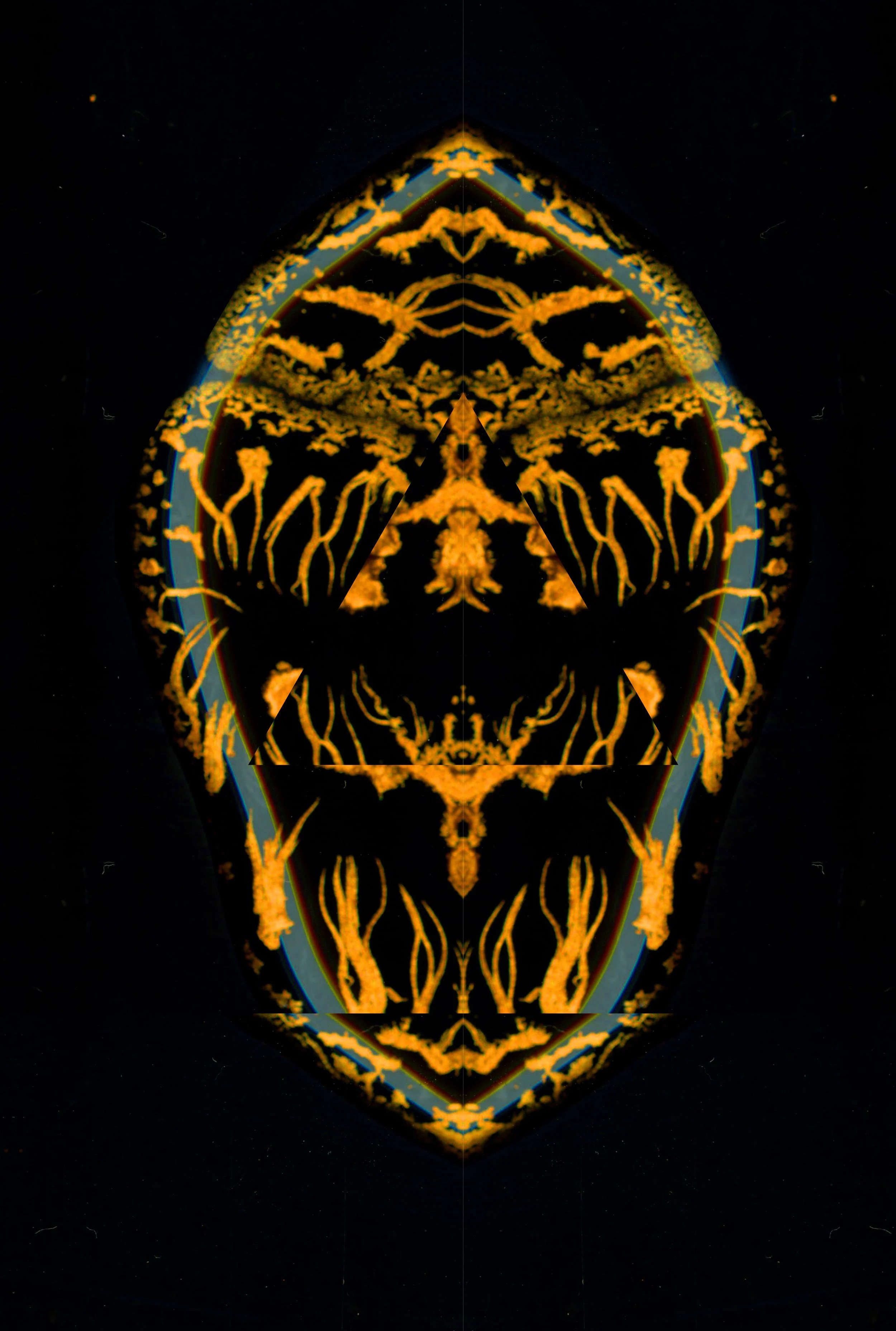 copp5-copy.jpg
